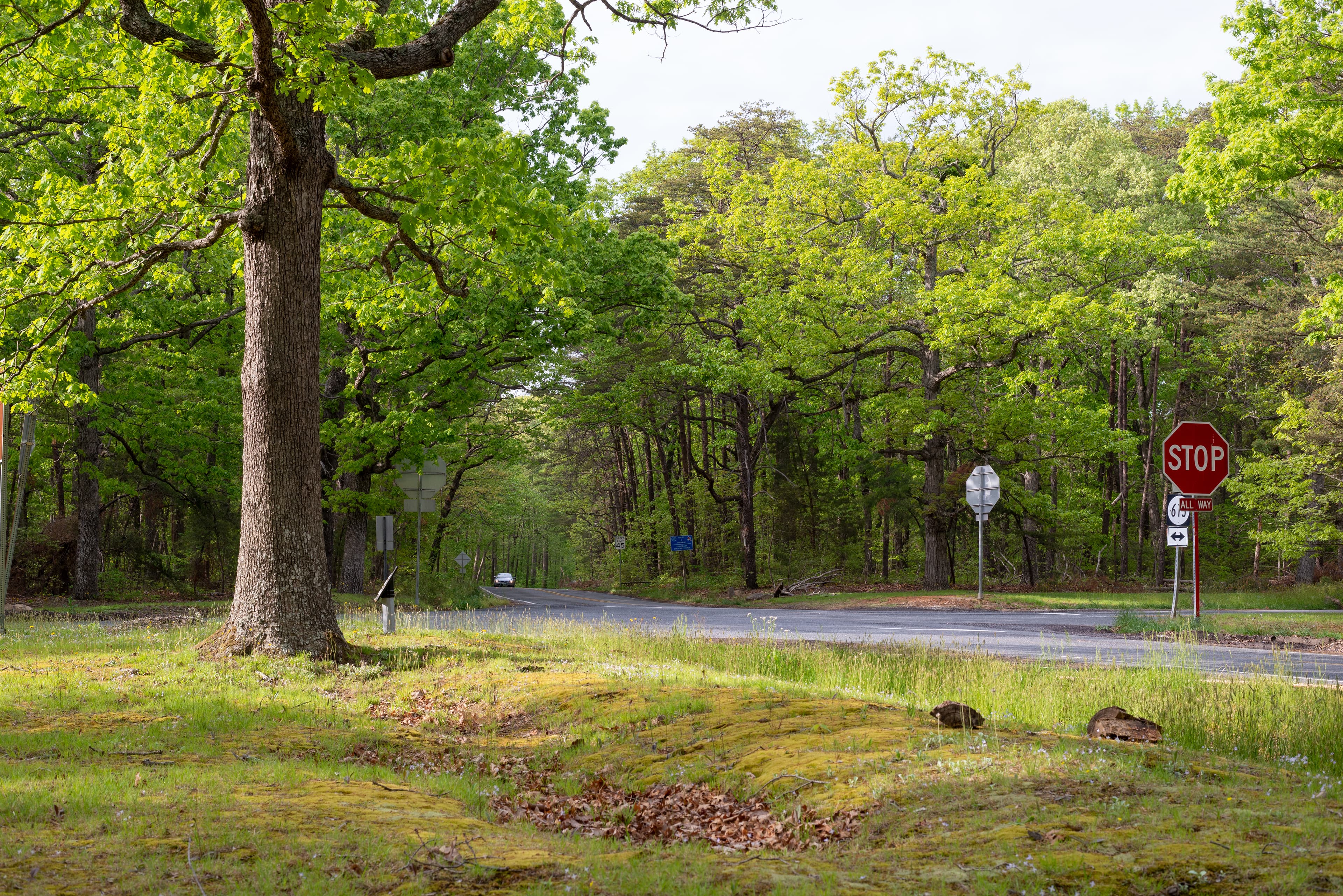 Brock Road-Plank Road Intersection