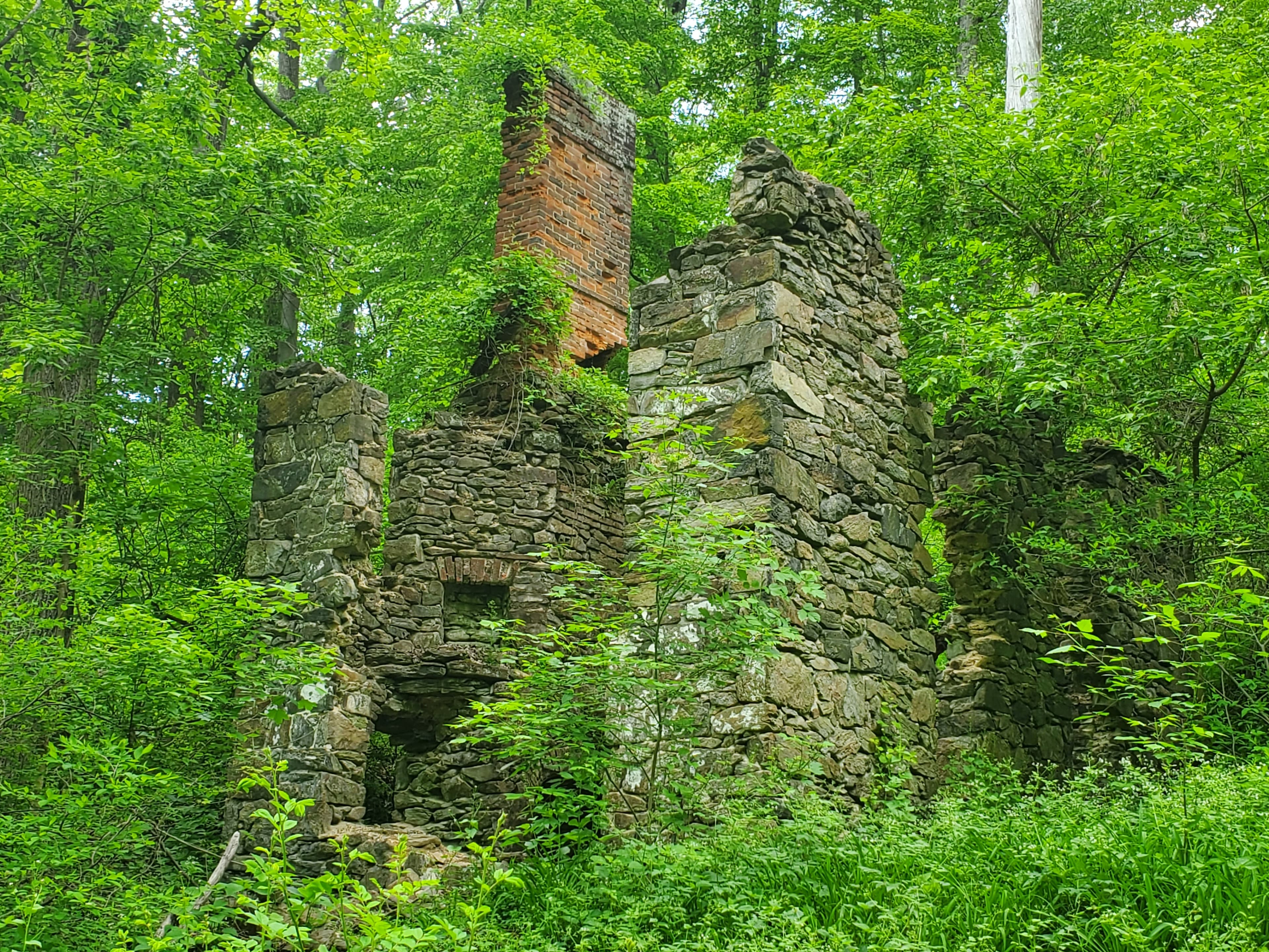 Beaver Creek Ruins