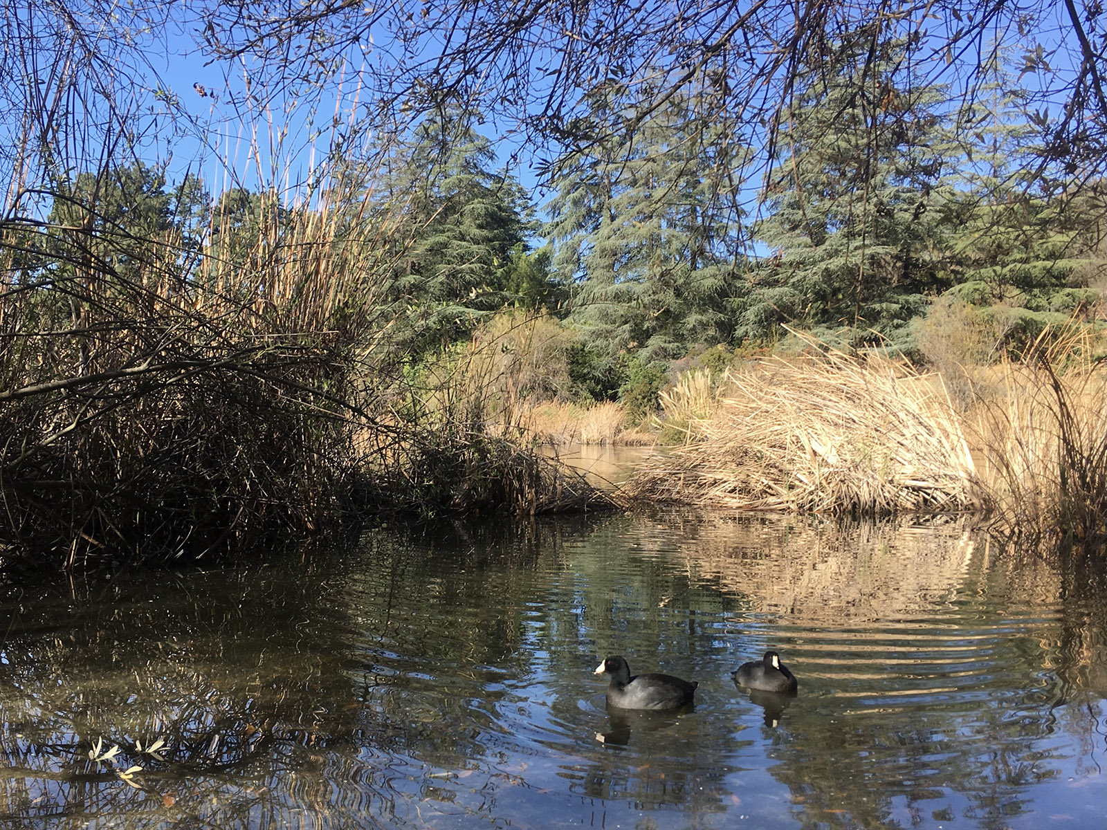 Franklin Canyon Park