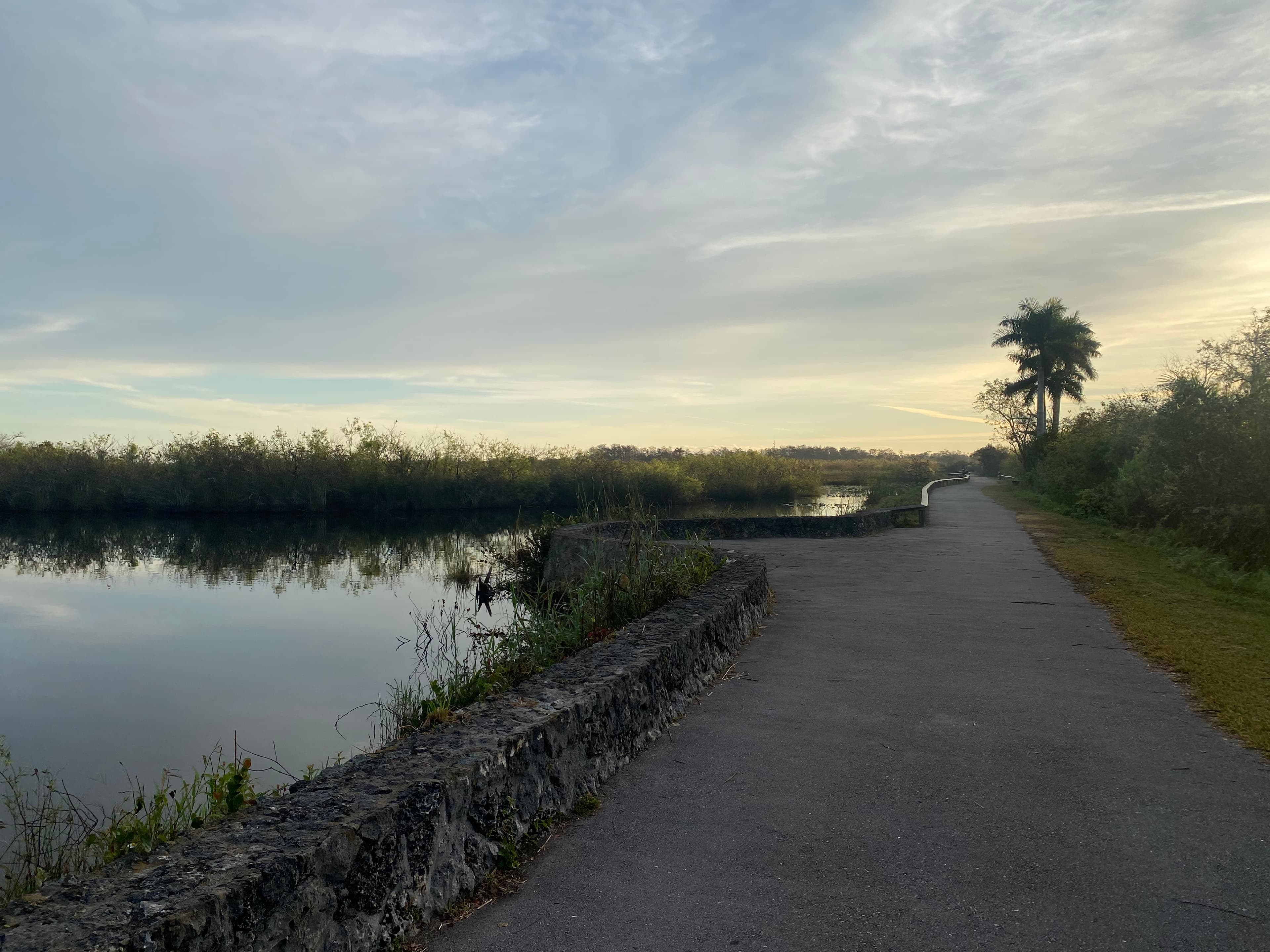 Anhinga Trail