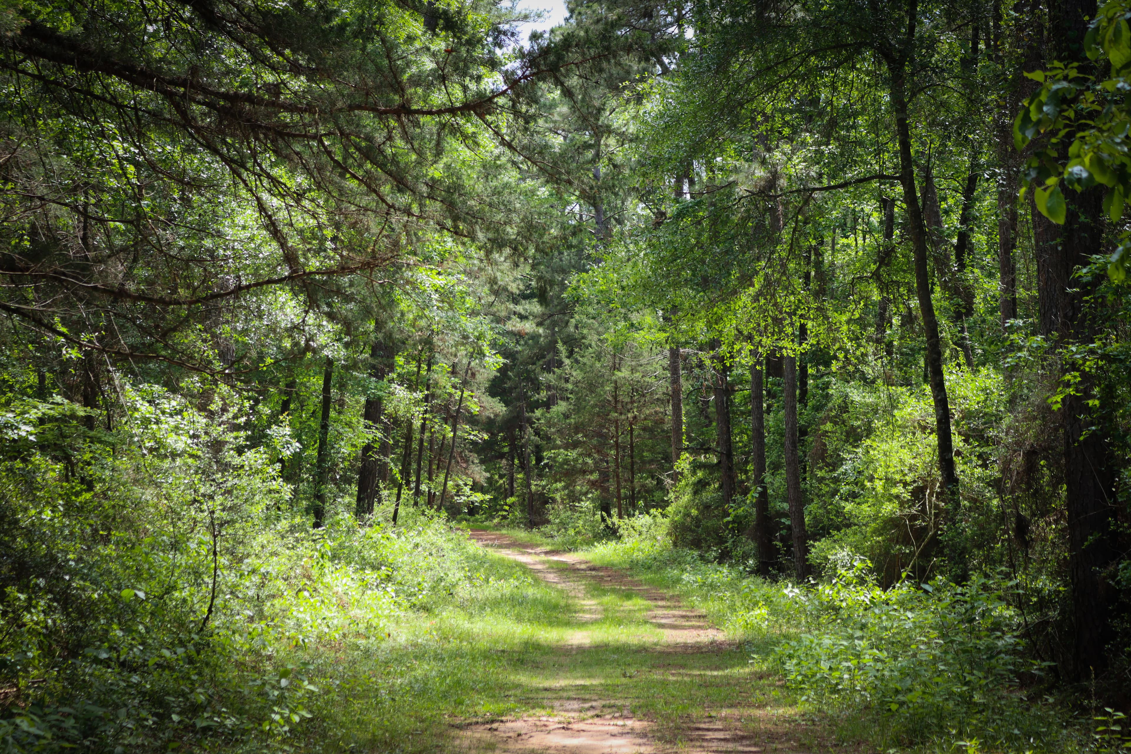Big Sandy Trail