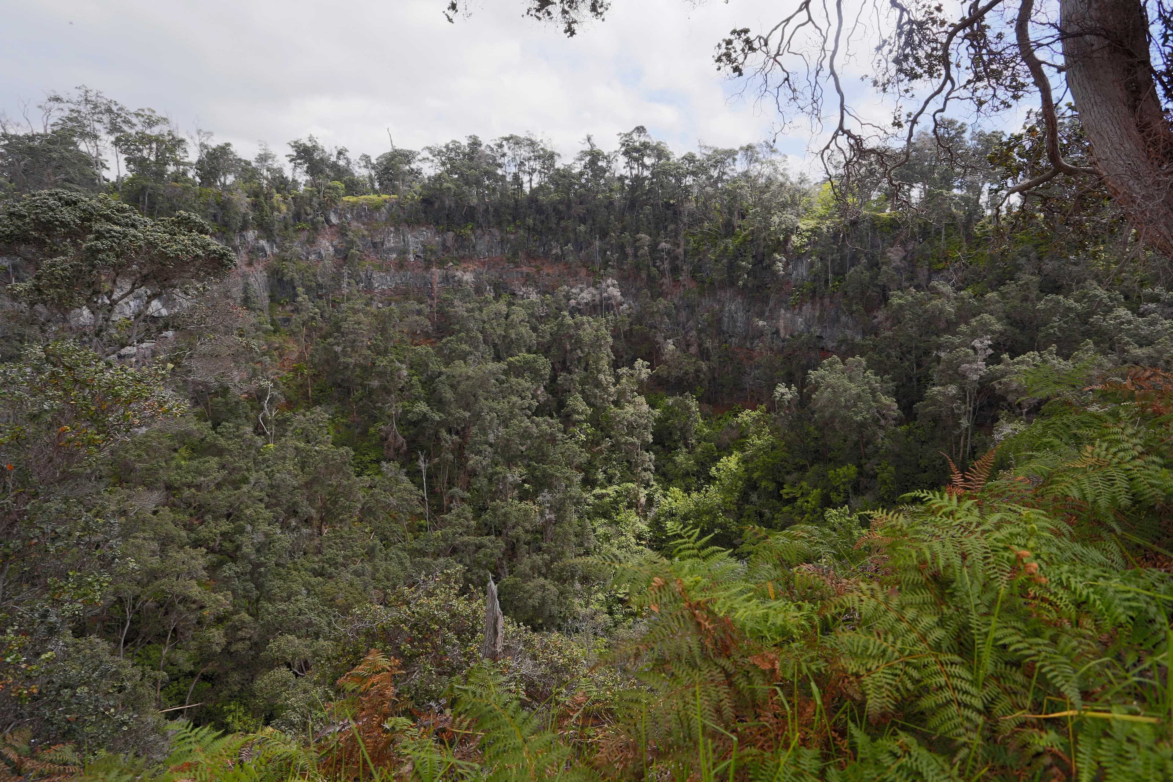 Forested Pit Crater