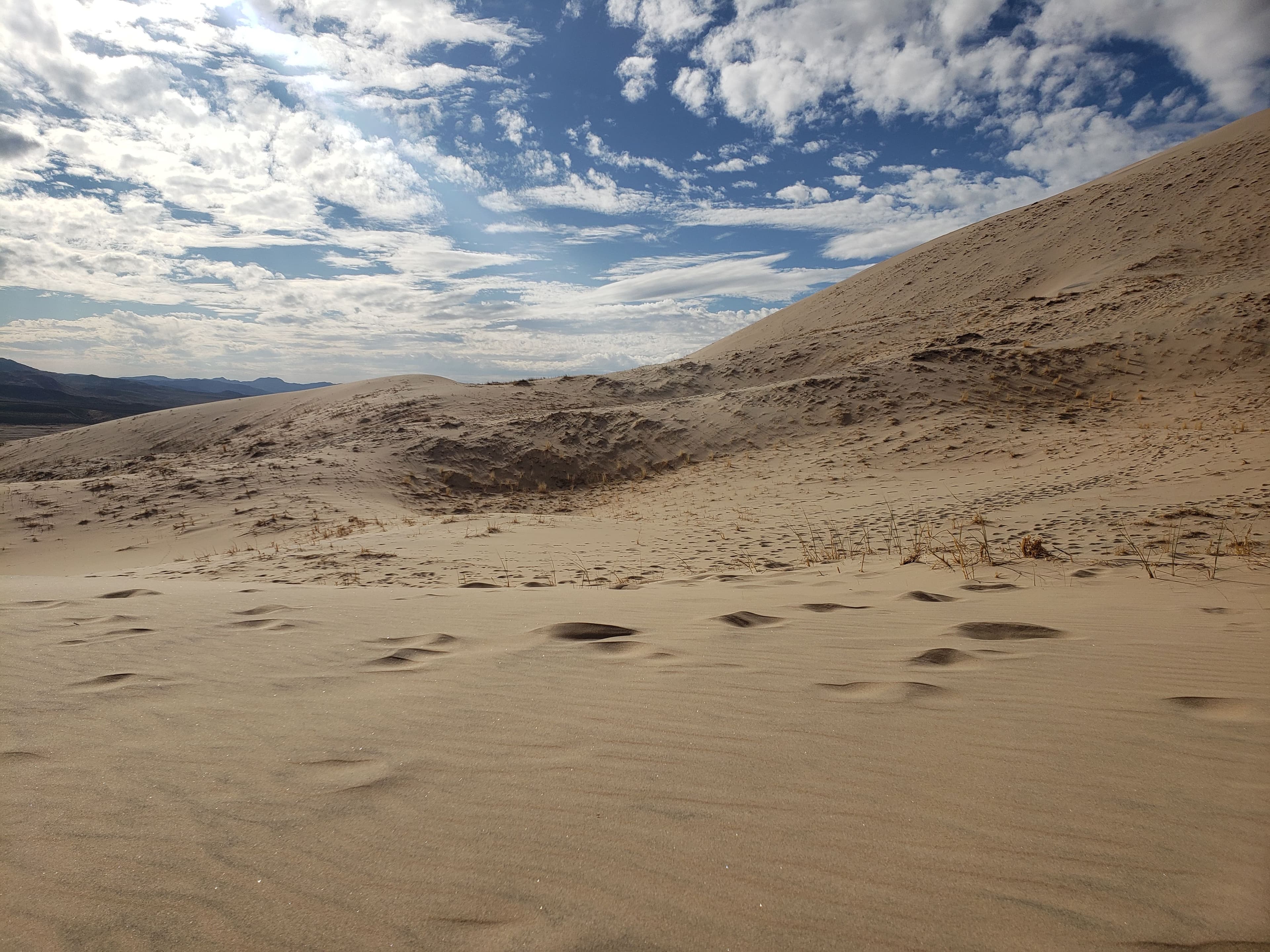 Kelso Dunes