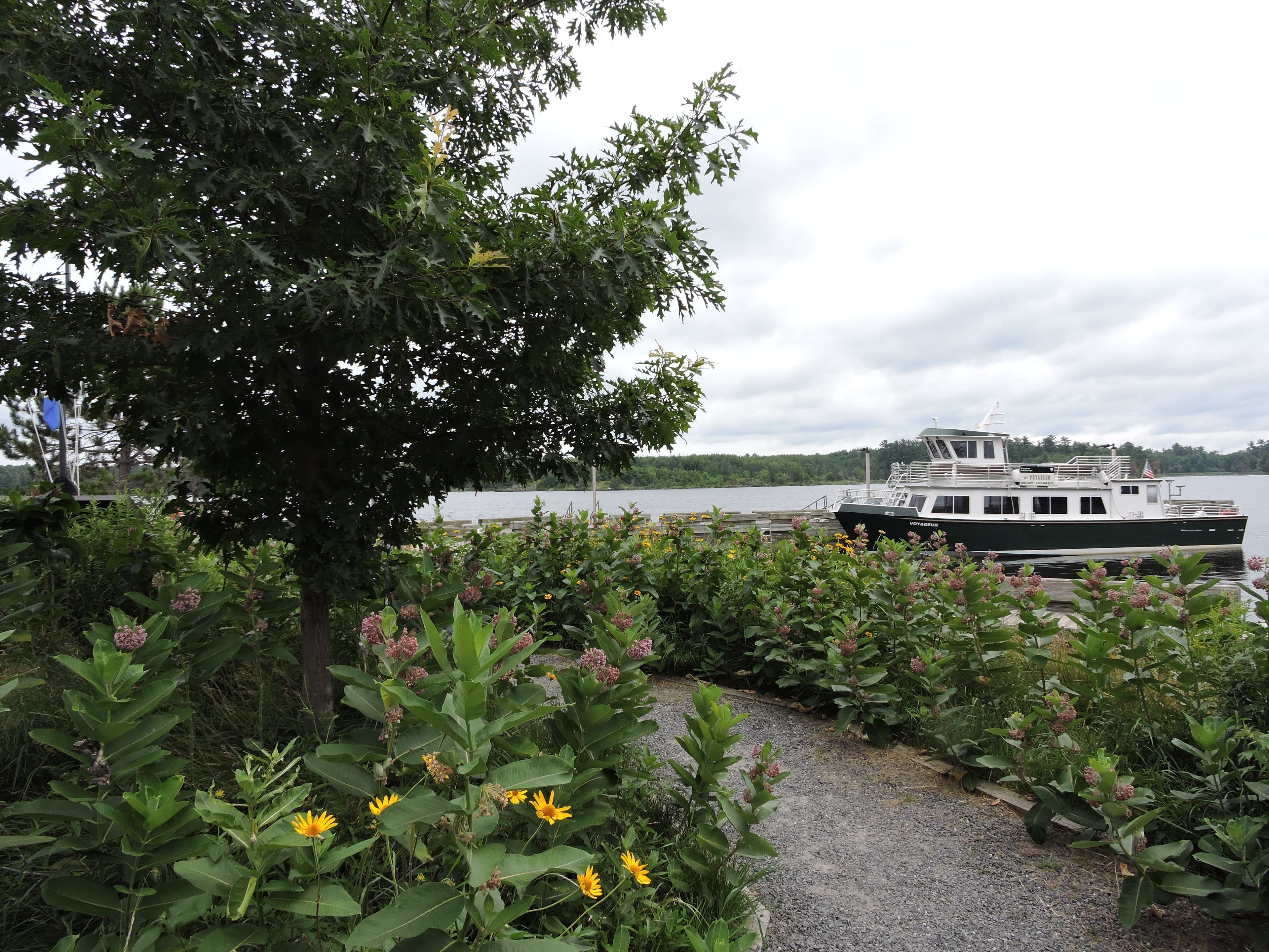 Rainy Lake Ethnobotanical Garden