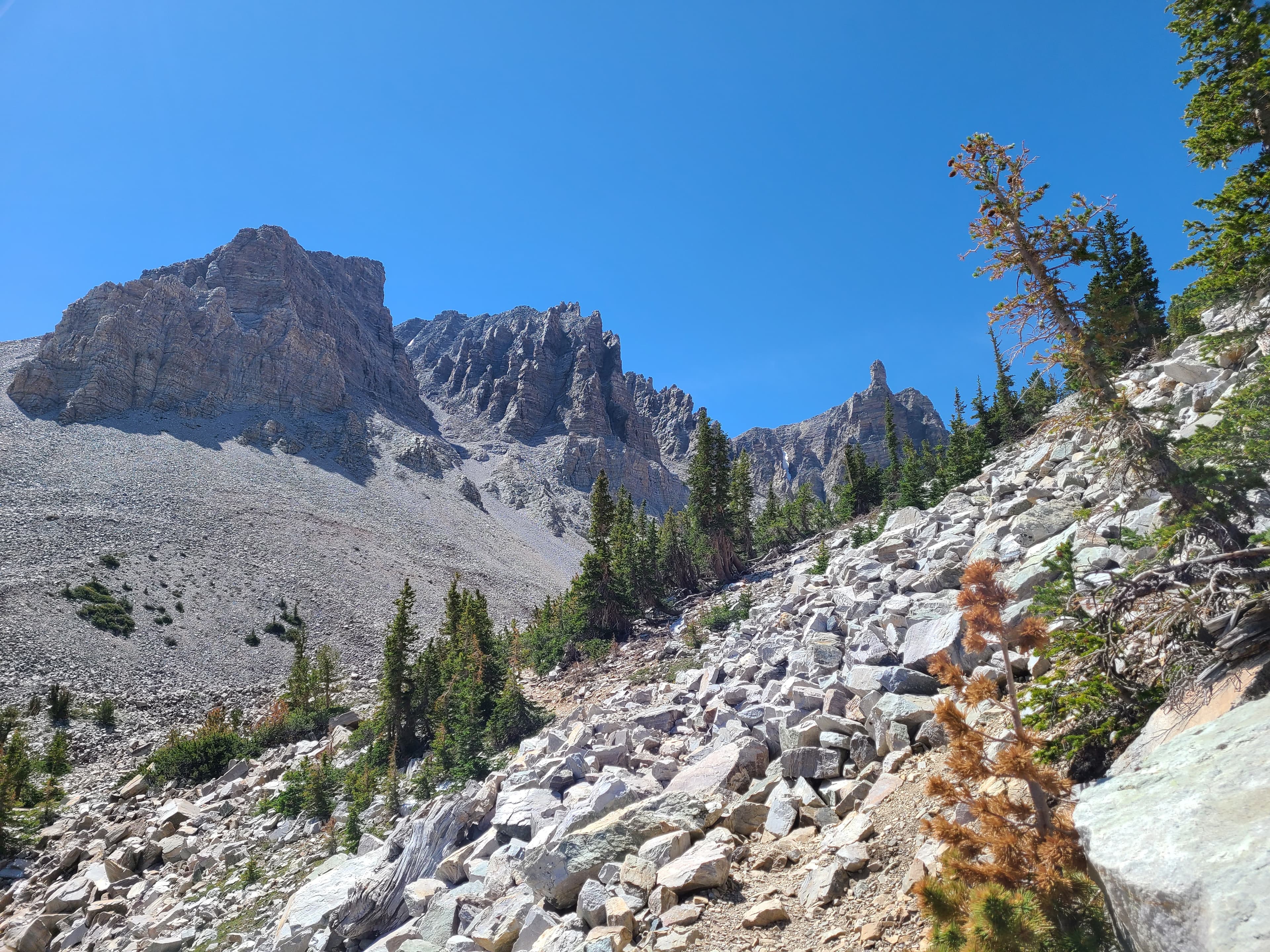 Bristlecone Parking Area - Montane & Alpine (Stop 7)