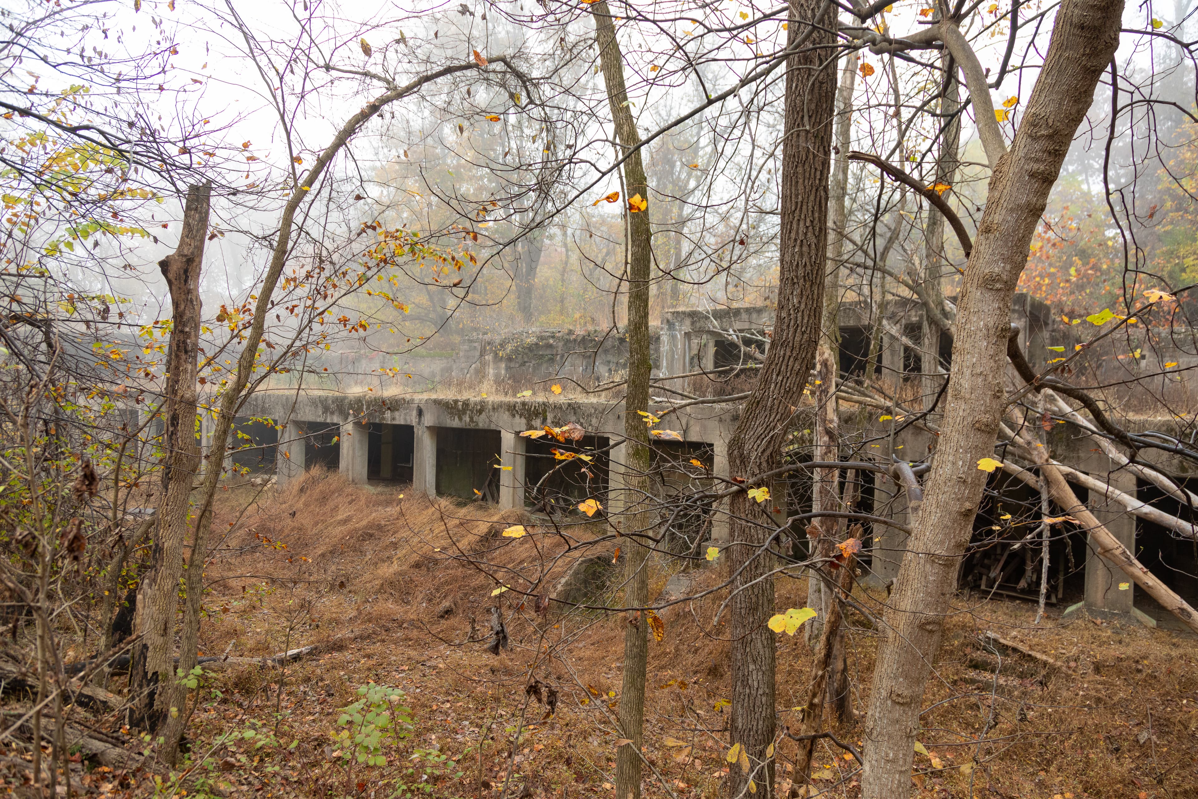 Battery Emory