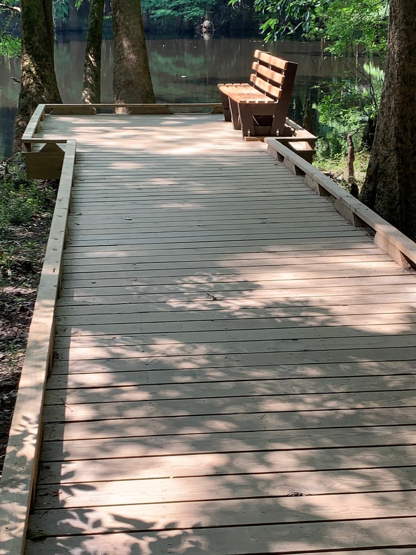 Congaree Self Guided Boardwalk Tour Stop #10