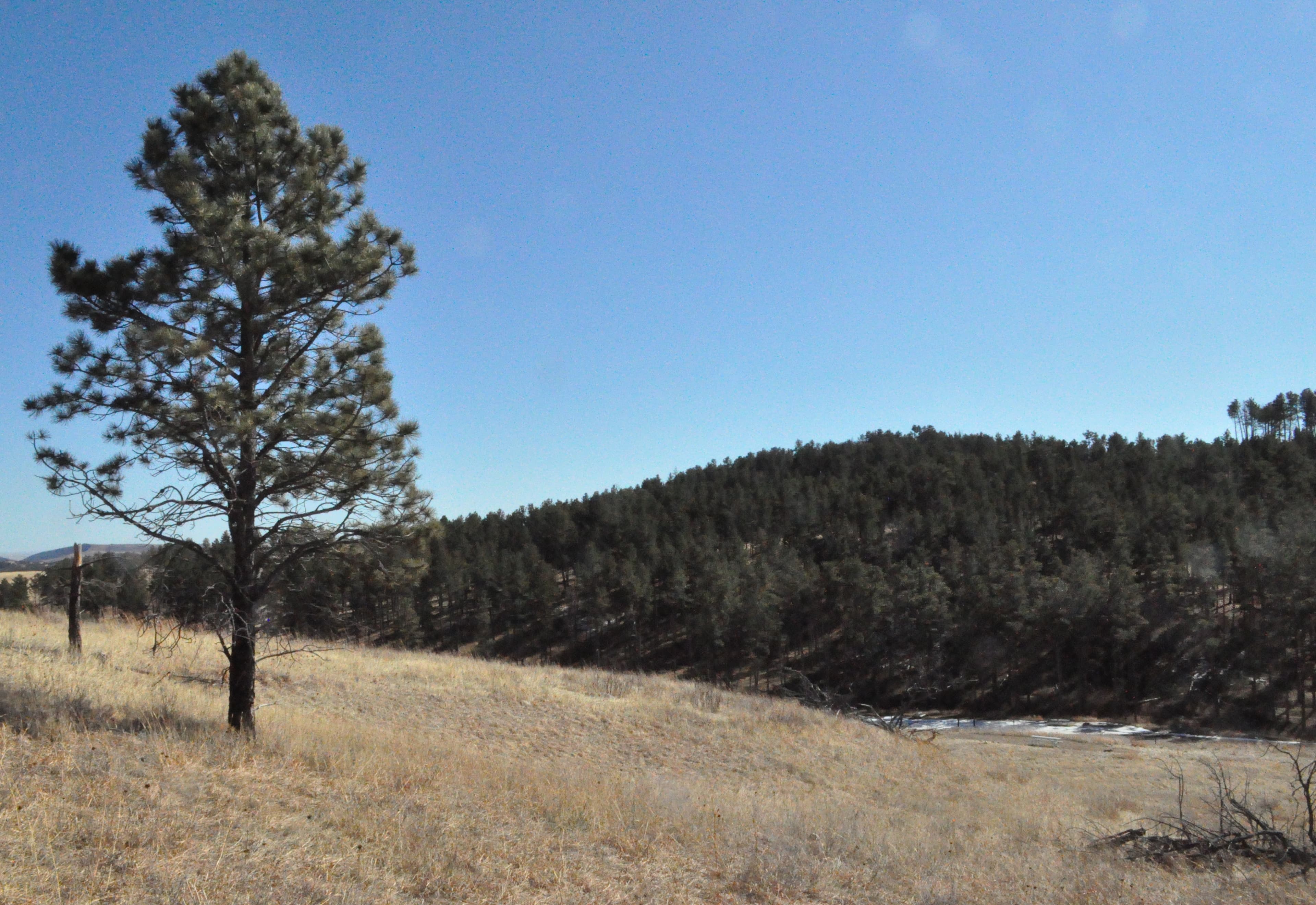 Elk Mountain Nature Trail