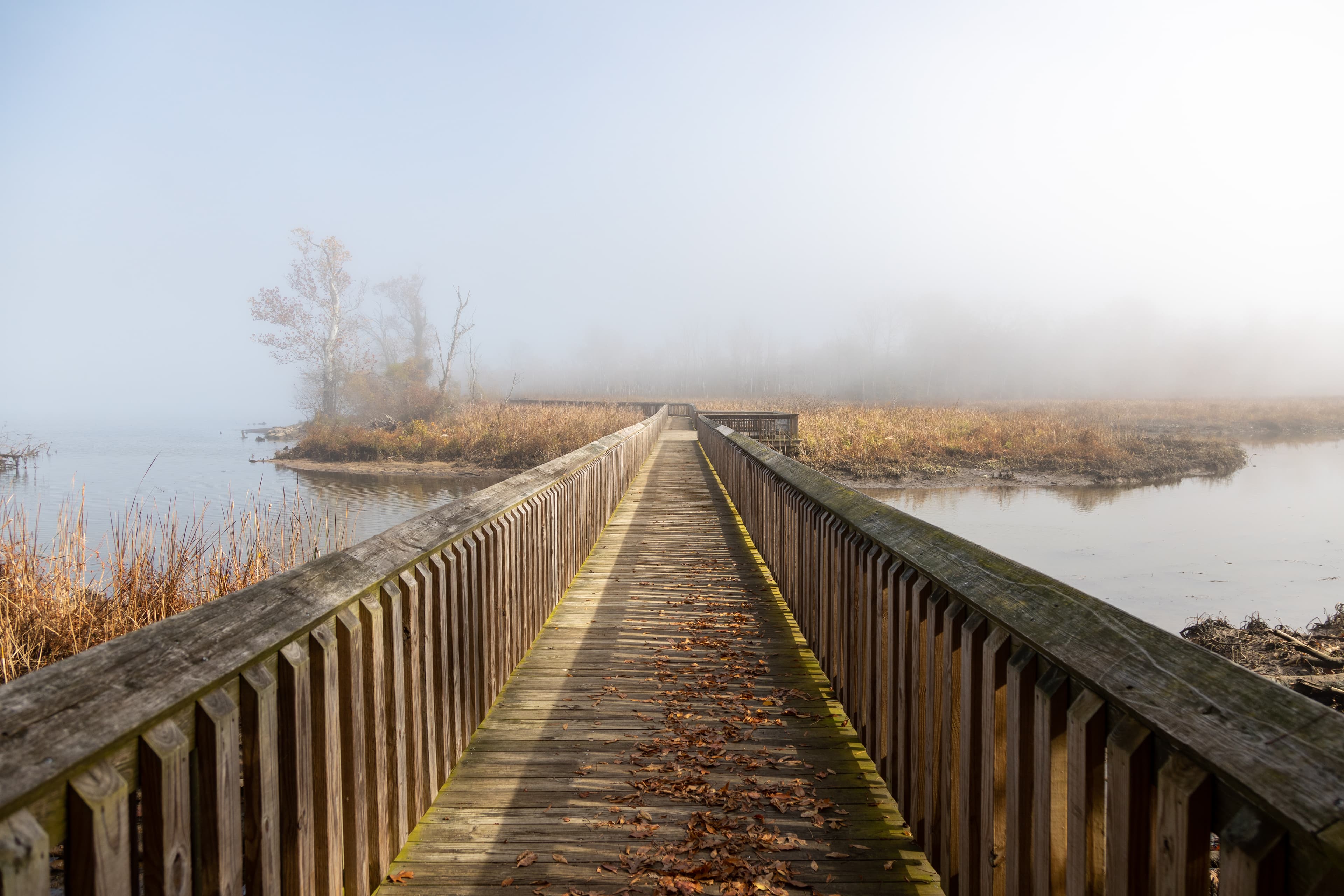 Accokeek Creek Boardwalk
