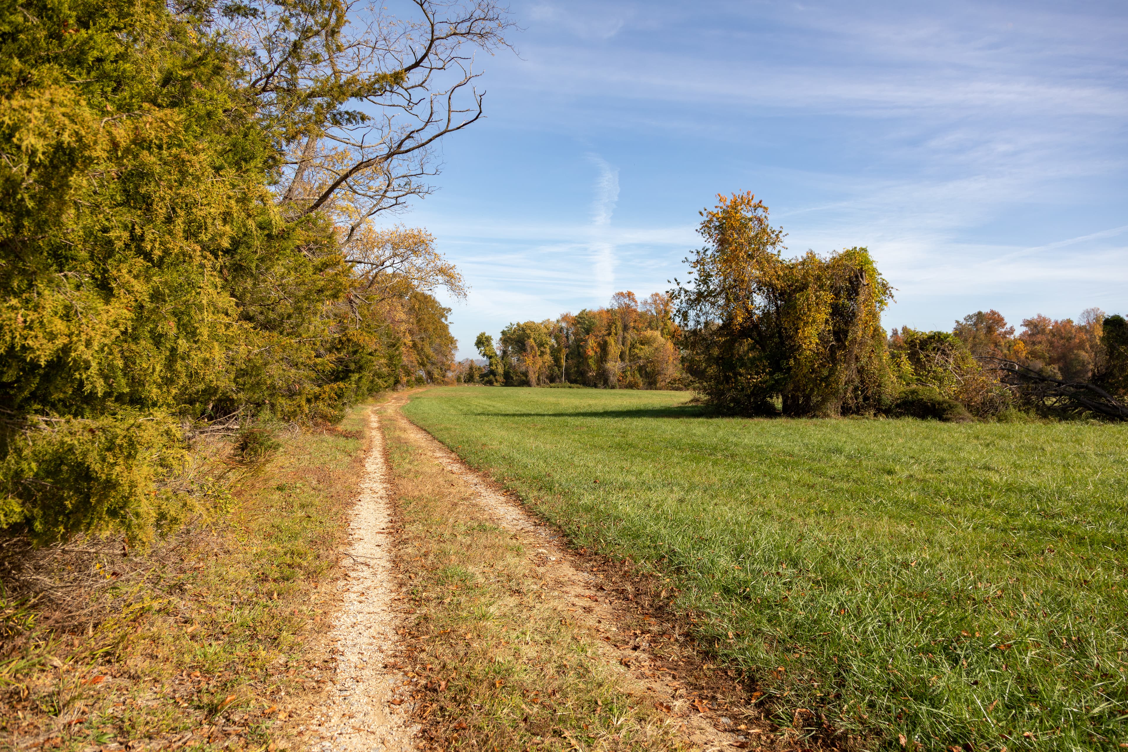 Accokeek Creek