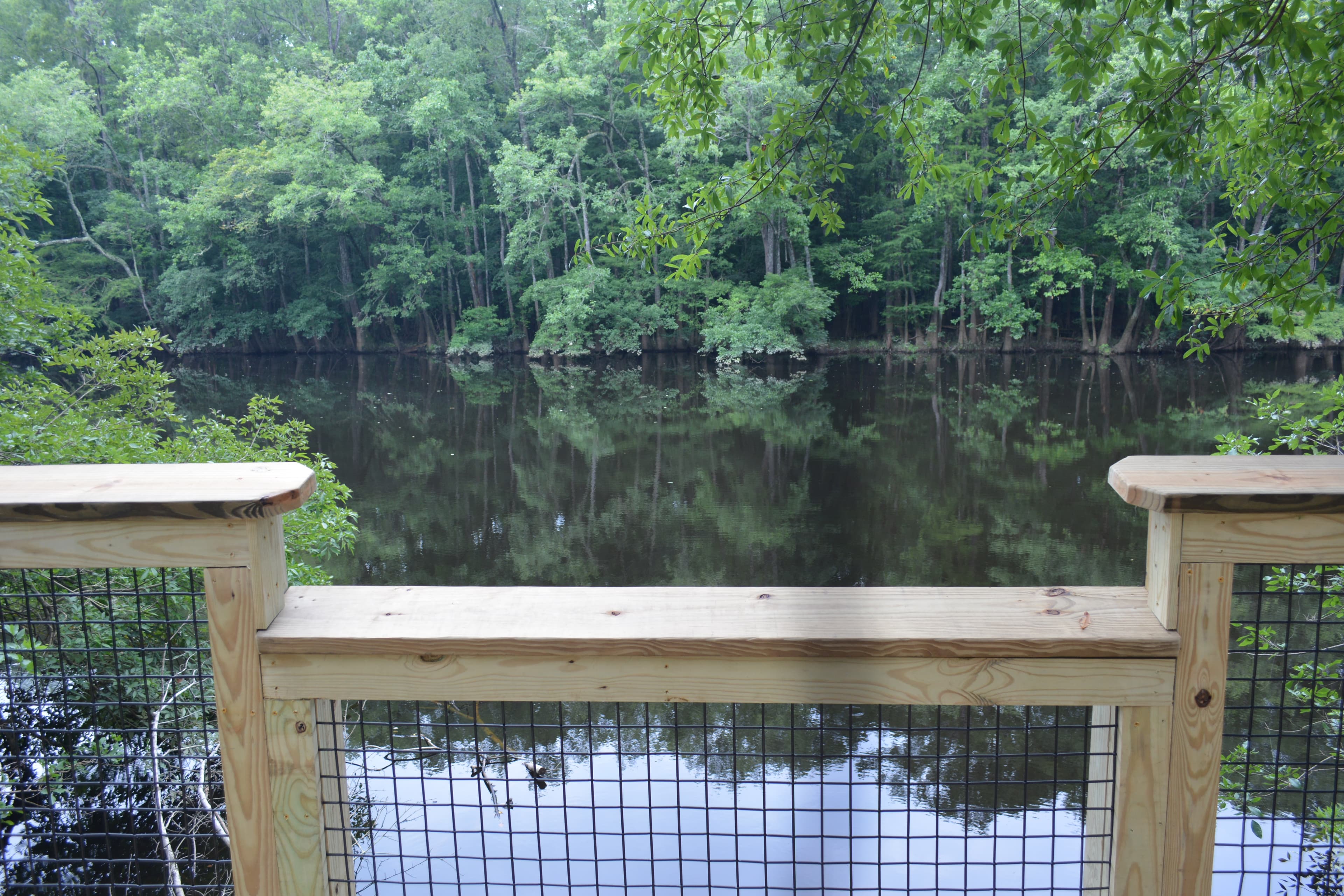 Congaree Self Guided Boardwalk Tour Stop #12