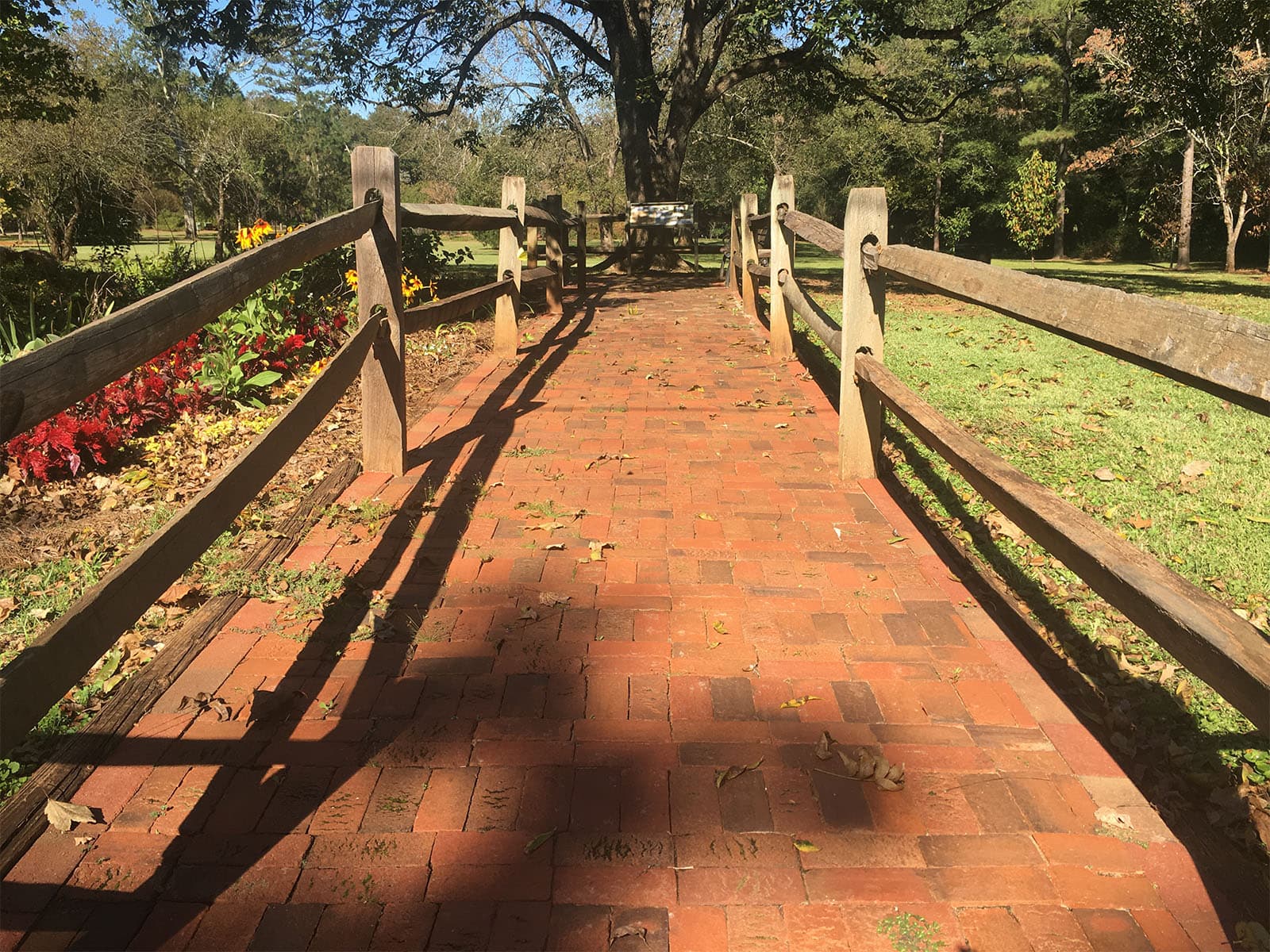 Carter Home Overlook