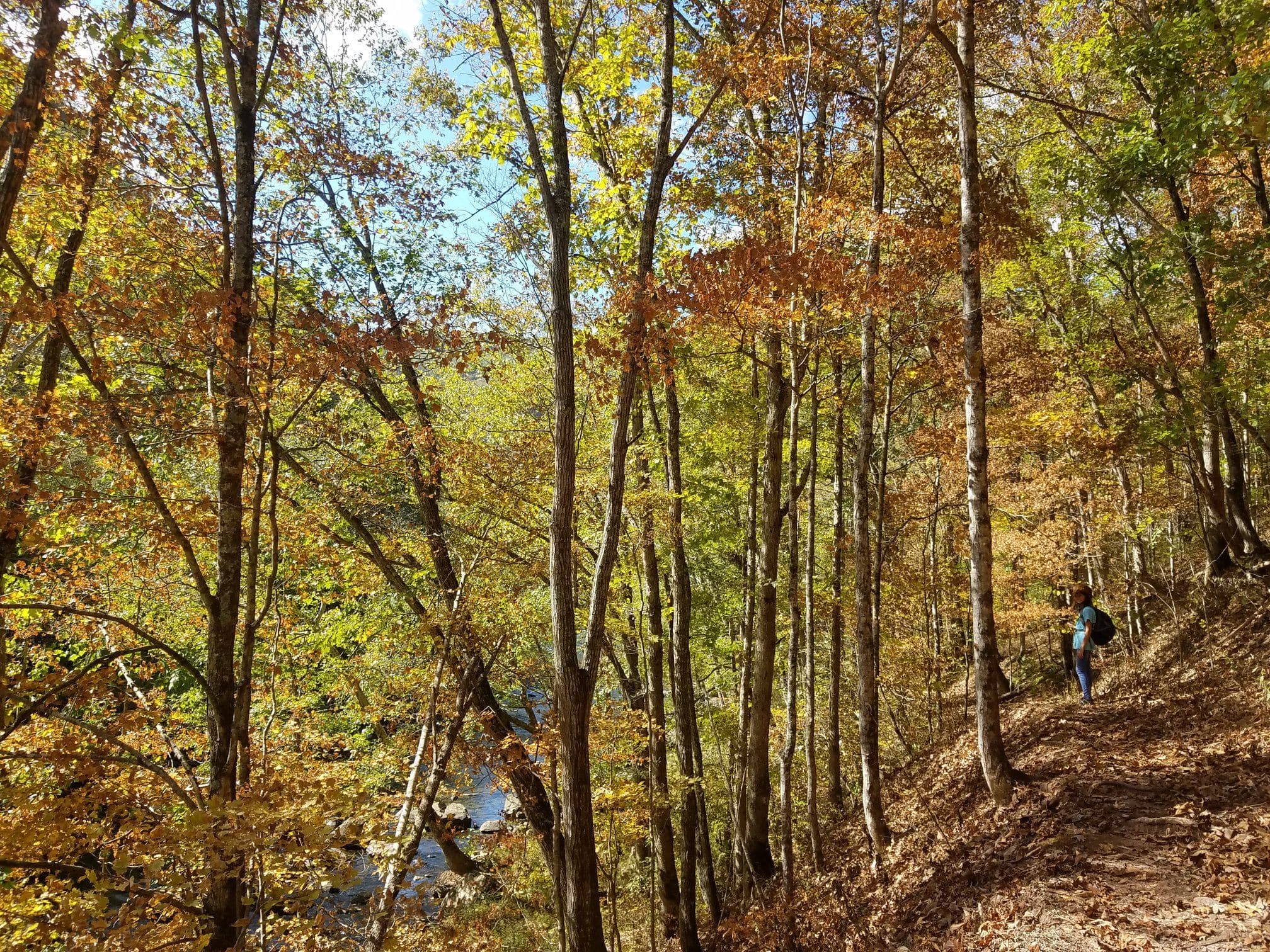 Bluestone Turnpike Trail