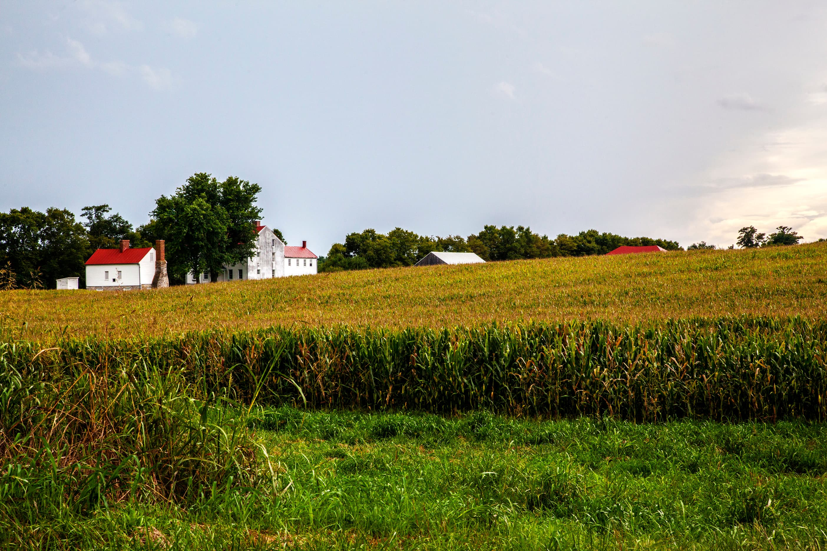 Best Farm