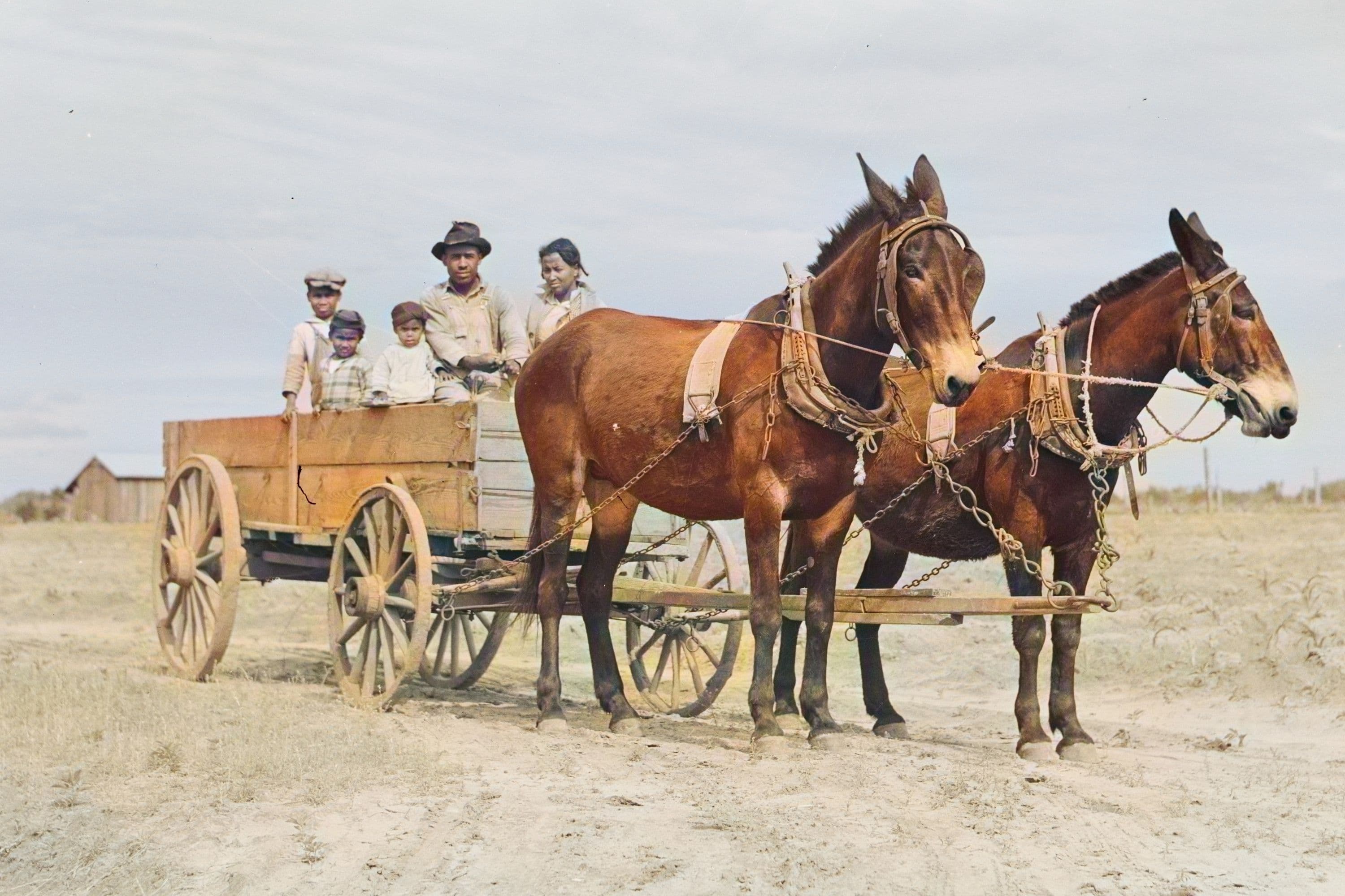 Catch the Mules Wayside