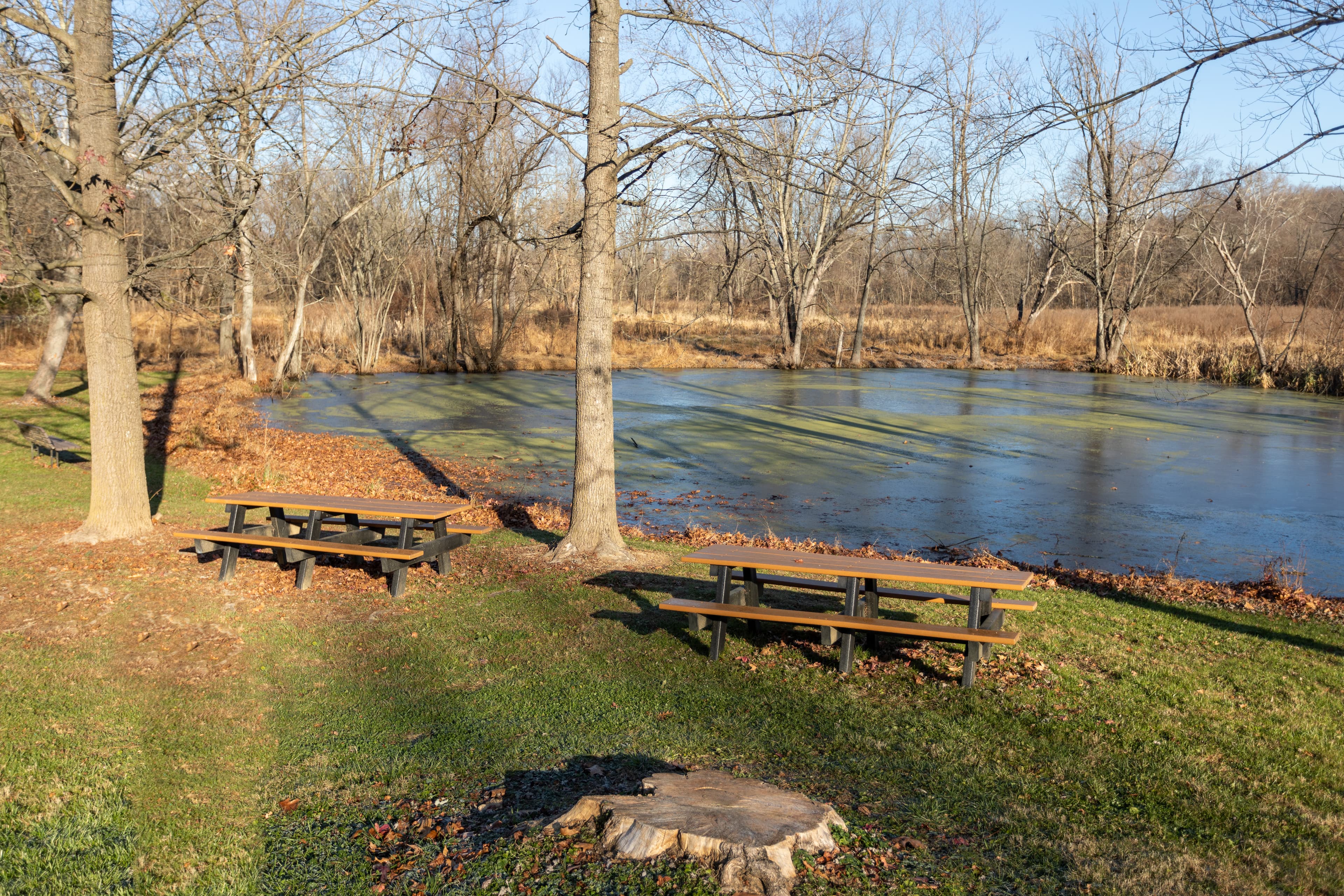 Gambrill Mill Picnic Area