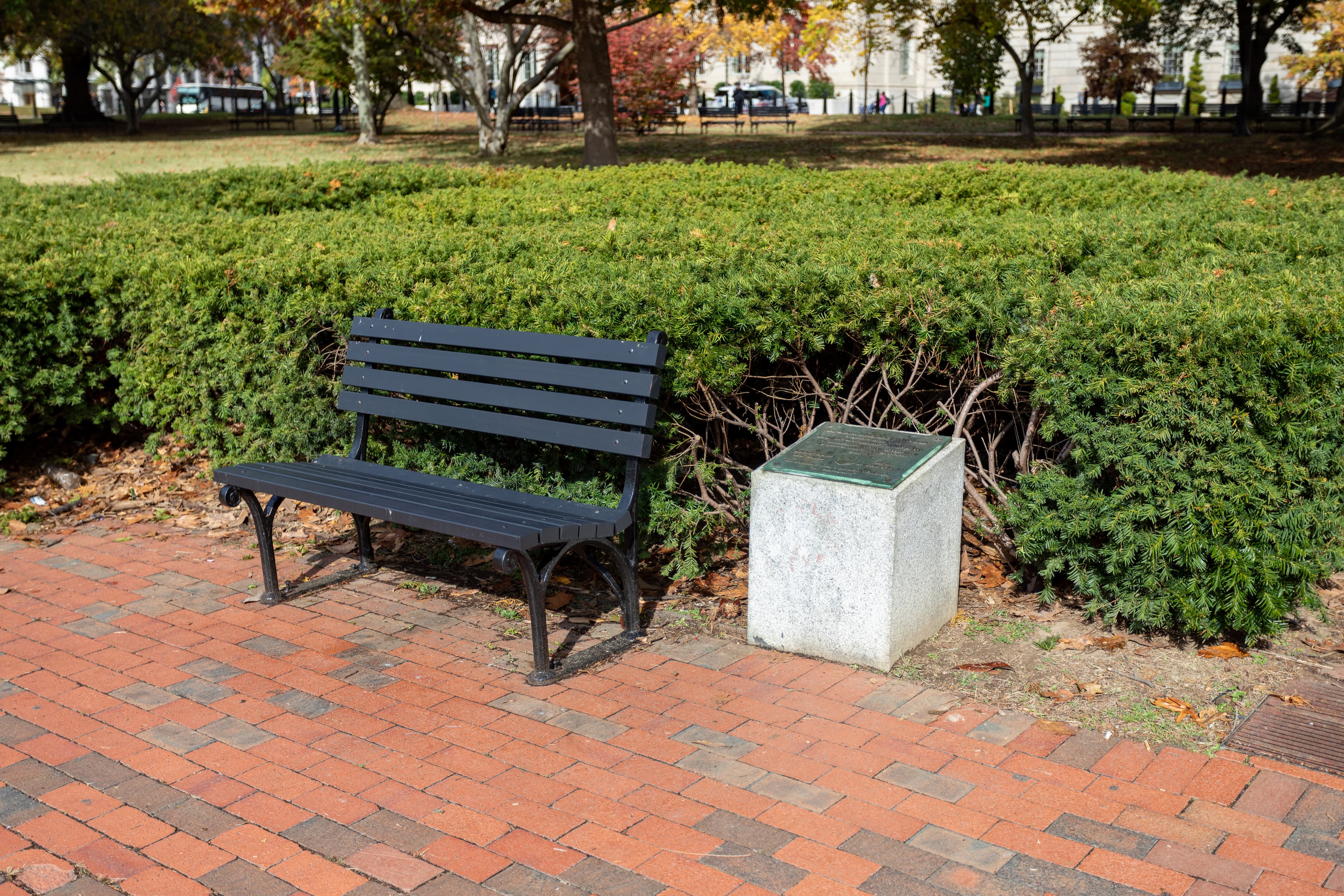 Bernard Baruch Bench of Inspiration
