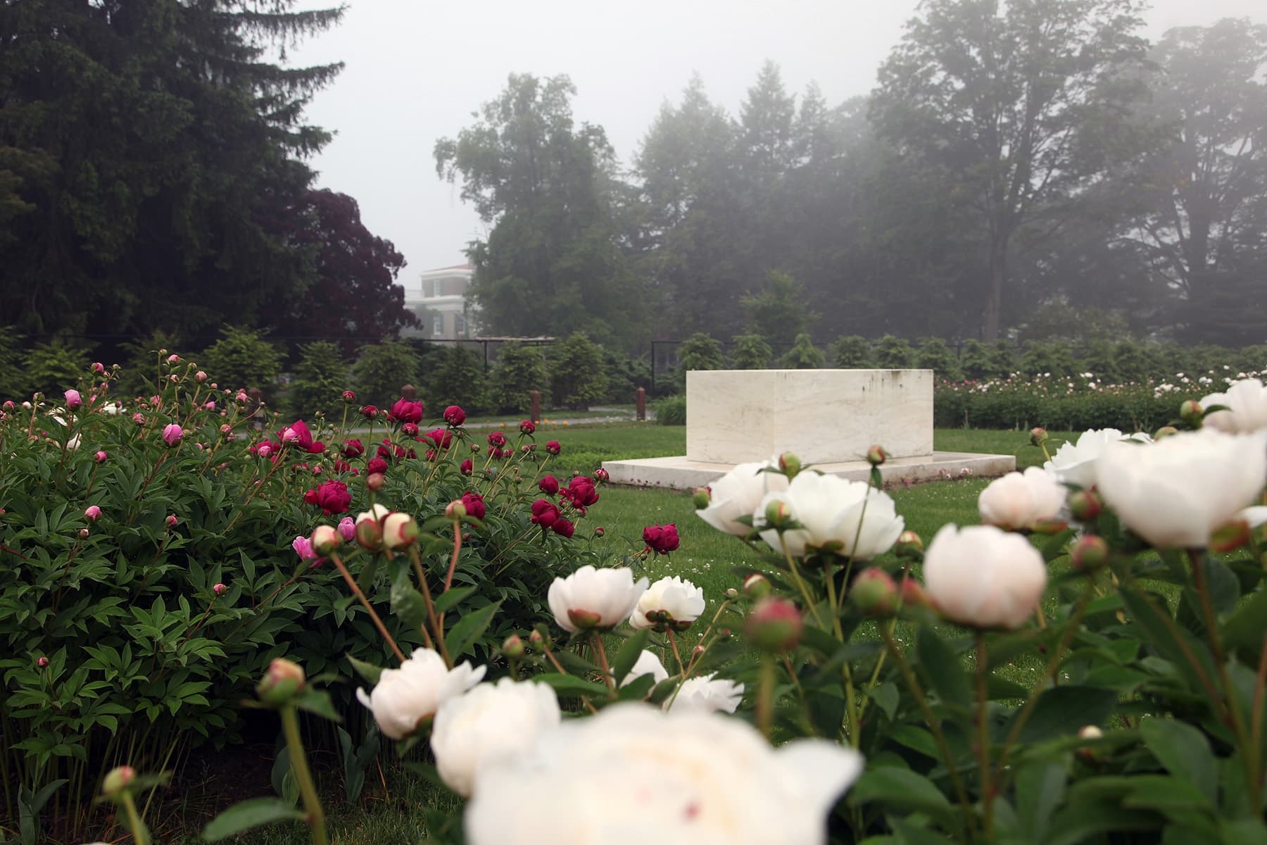 Burial Site of Franklin and Eleanor Roosevelt