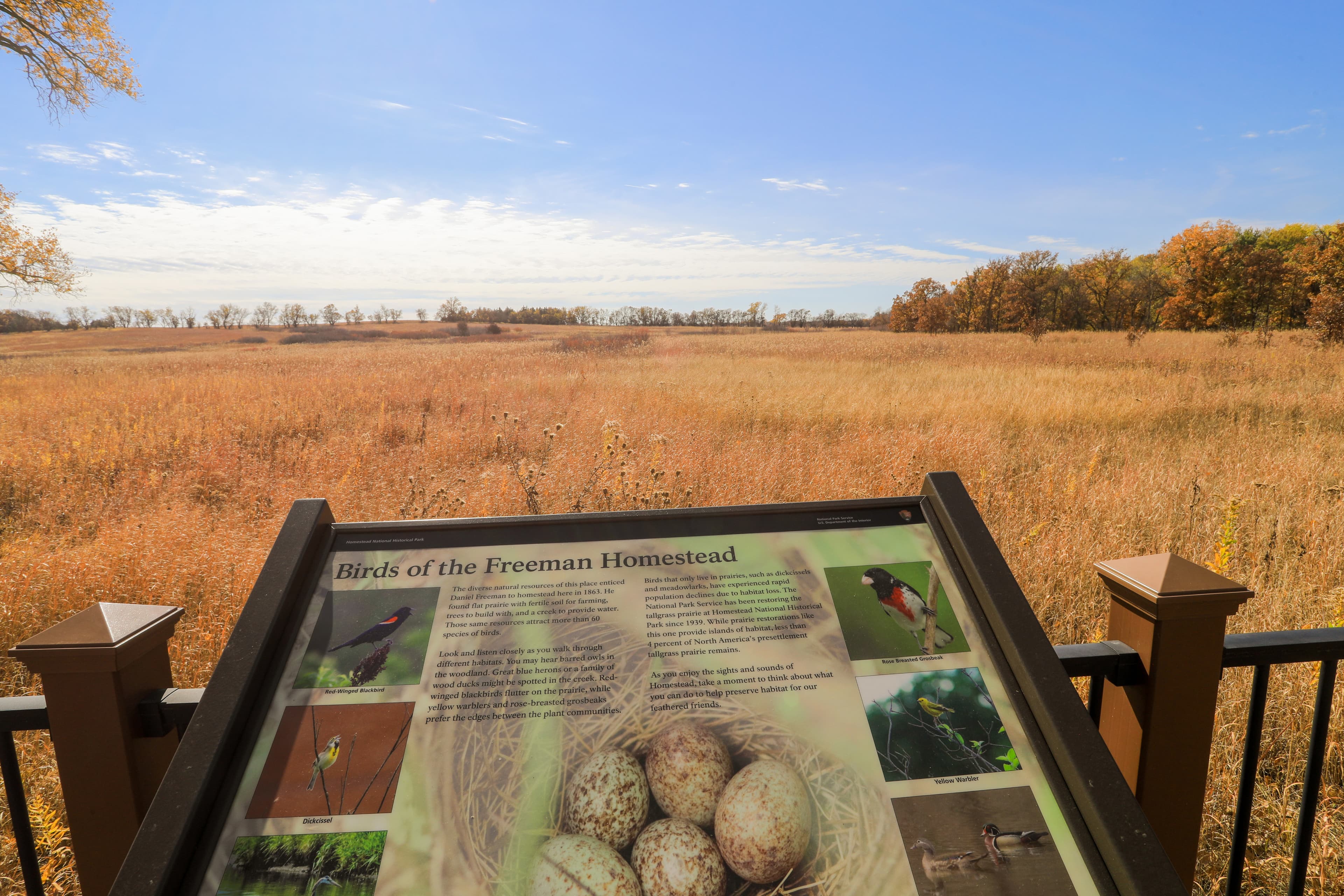 Birds of the Freeman Homestead, wayside exhibit