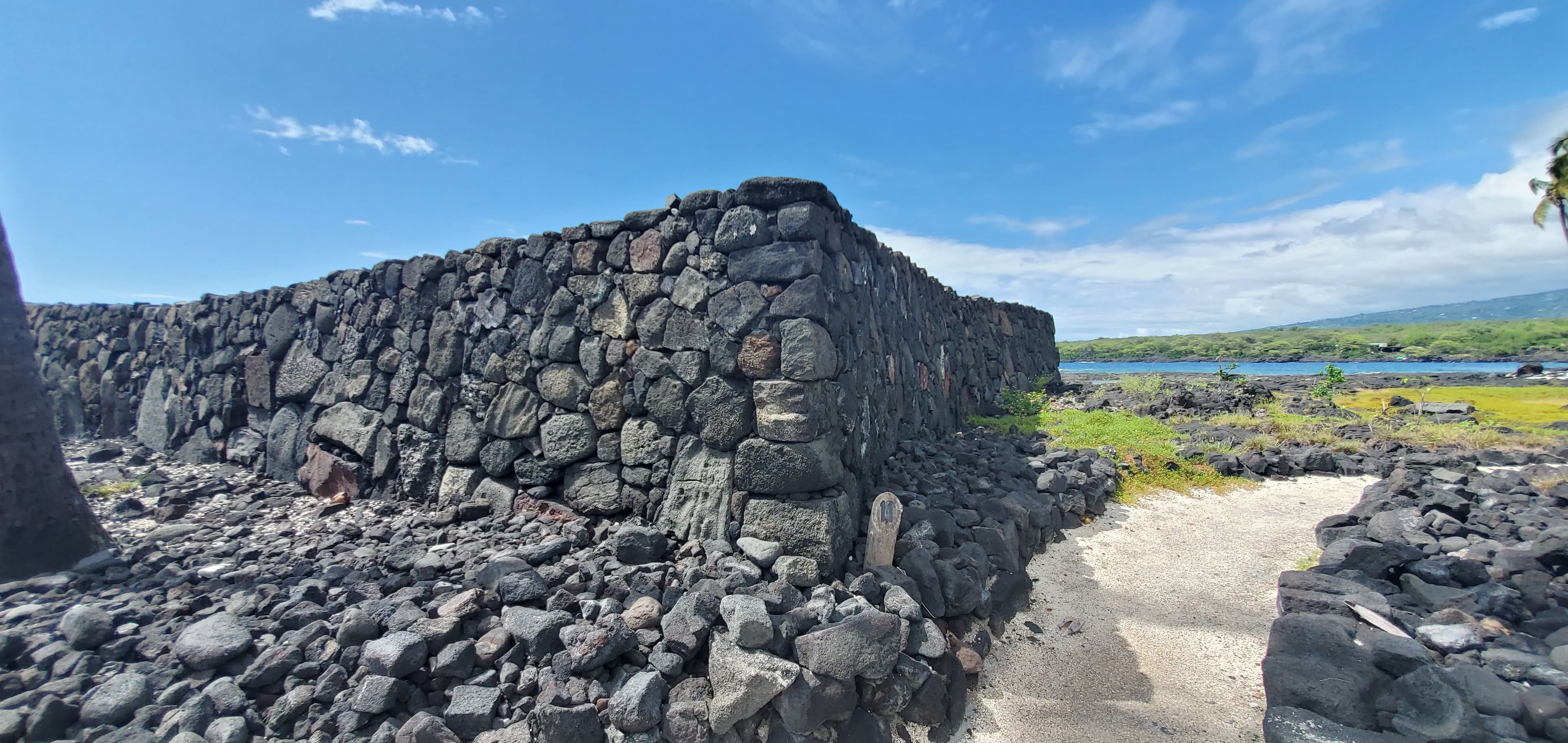 #11 - ʻĀleʻaleʻa