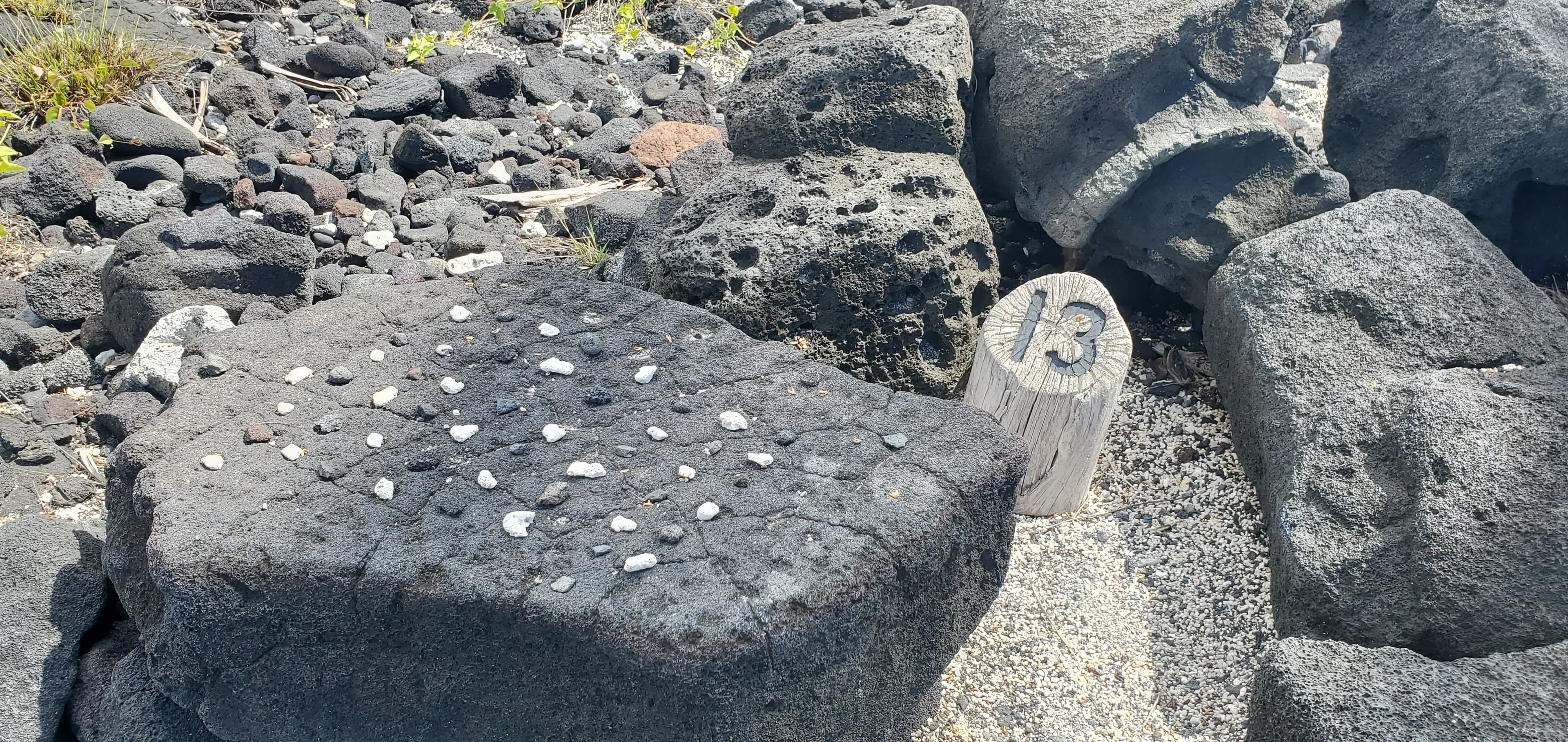 #13 - Papamū