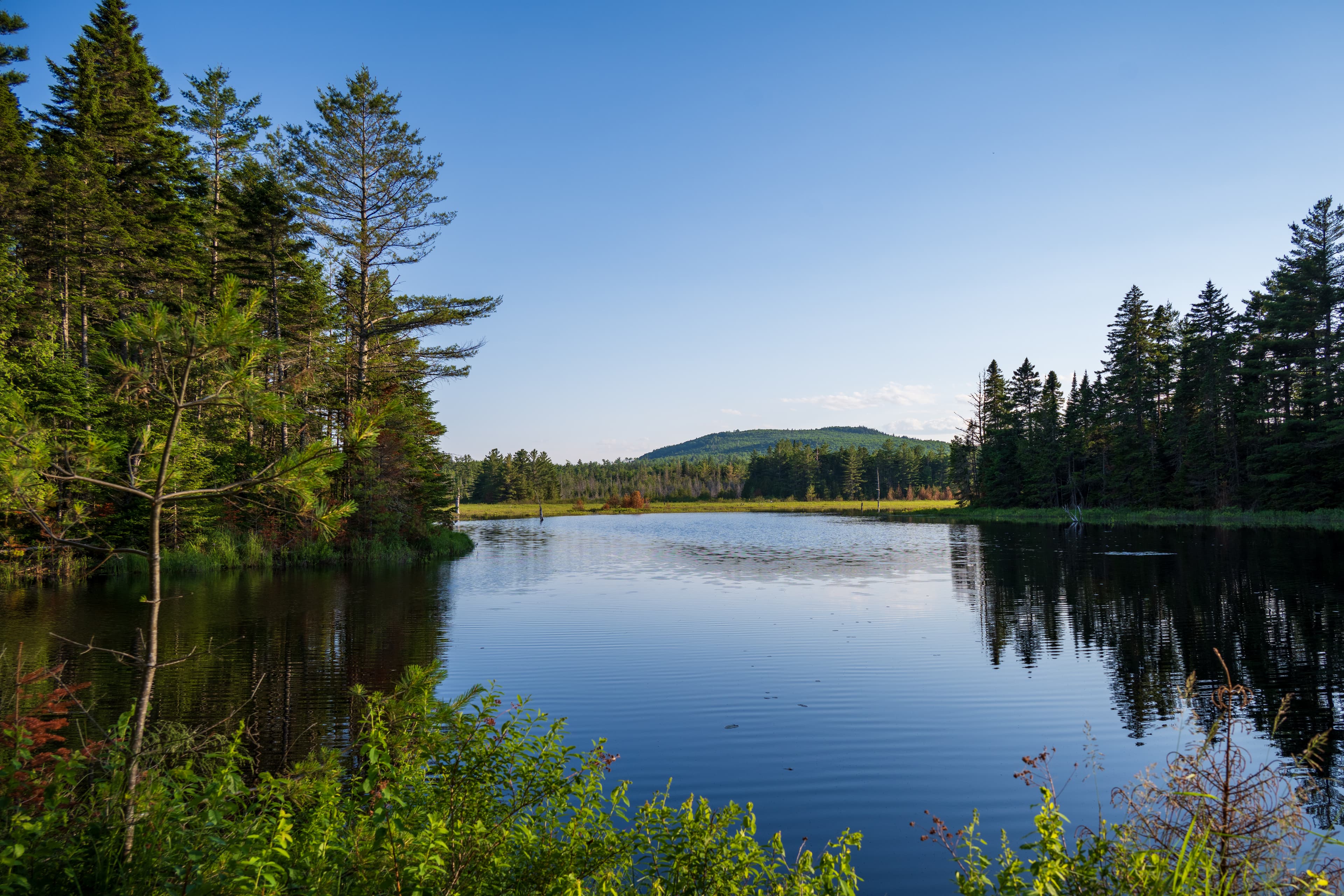 Esker Wetland