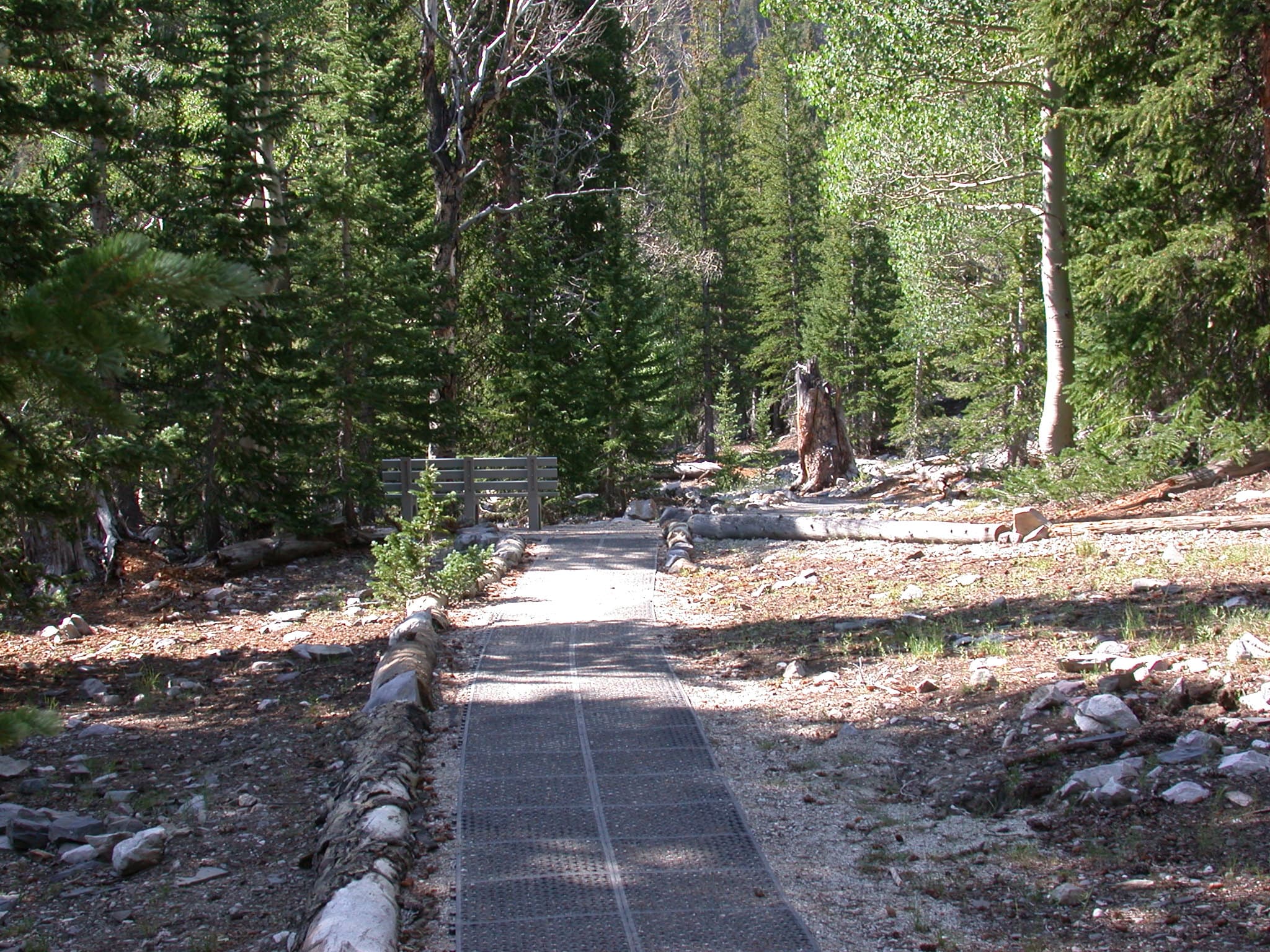 Bristlecone Trailhead