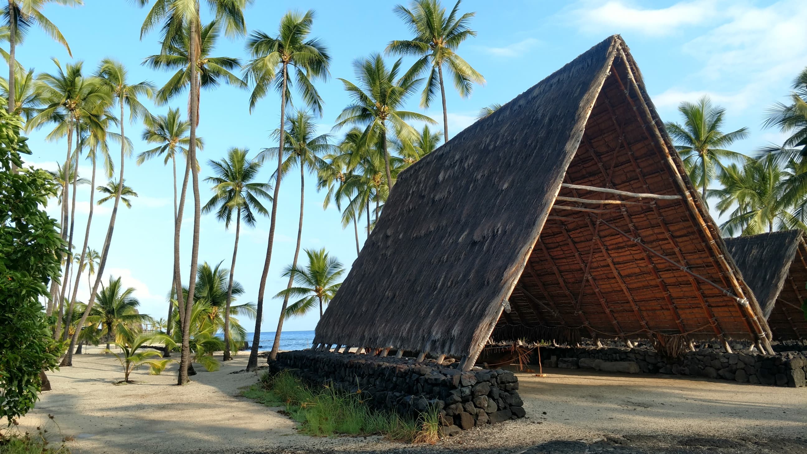 #16 - Hālau