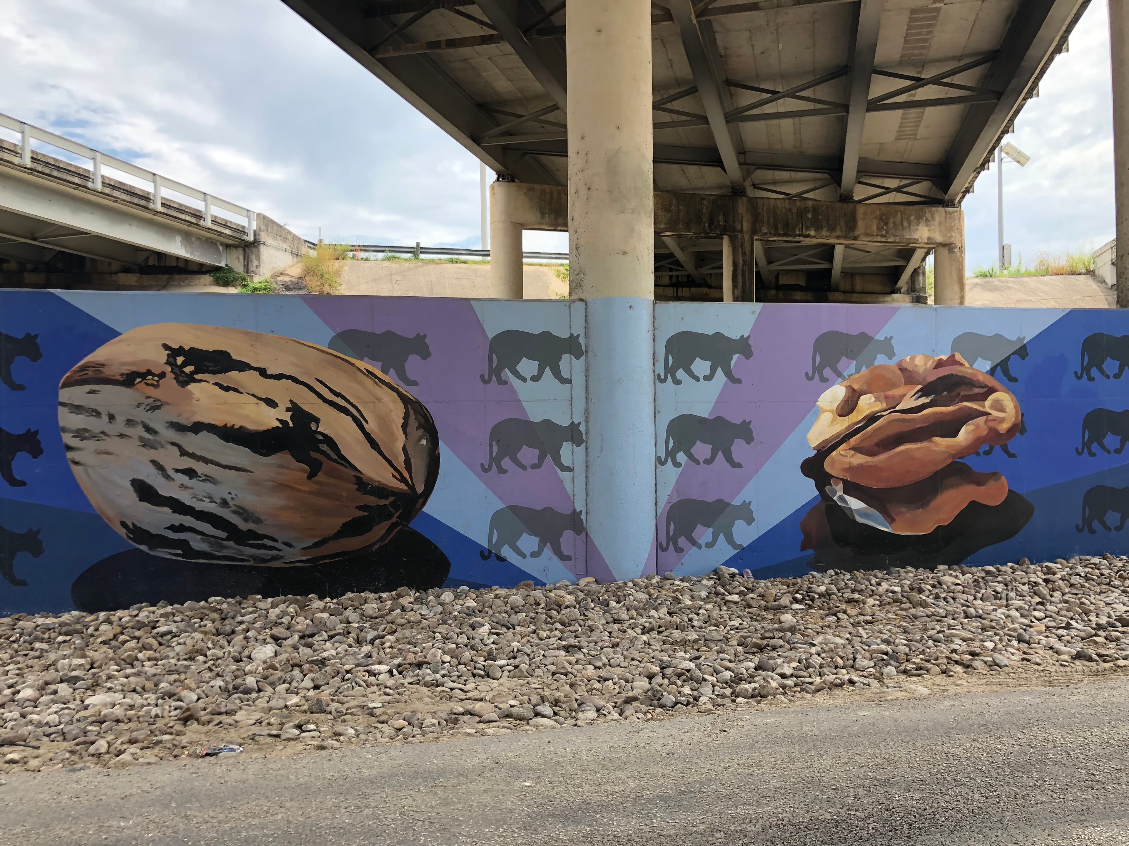 Coahuiltecan Seasons Mural