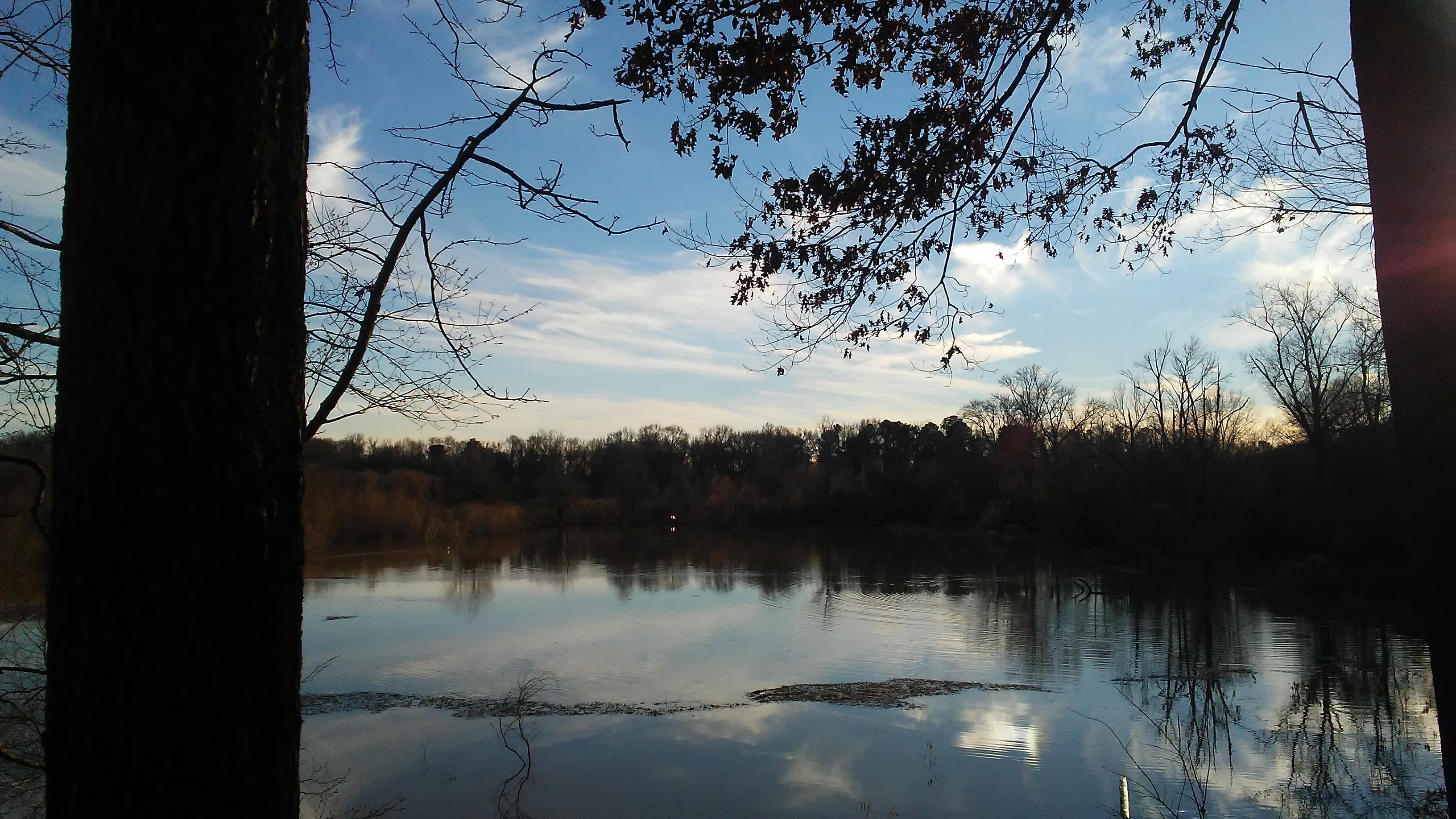 Clay Pond