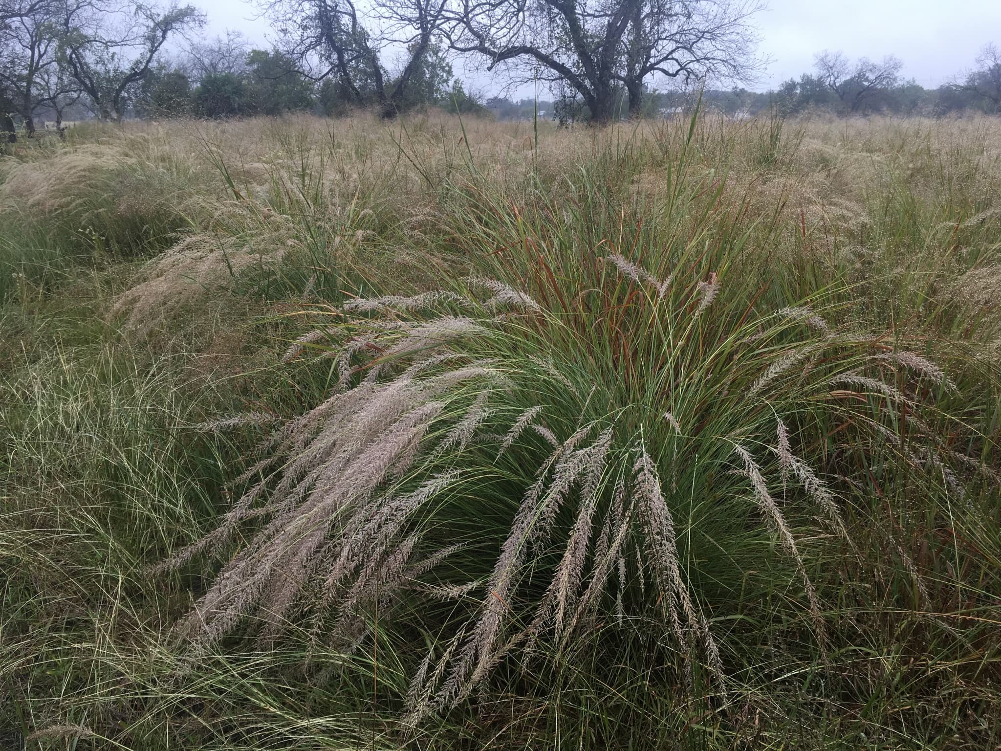 A Land Transformed