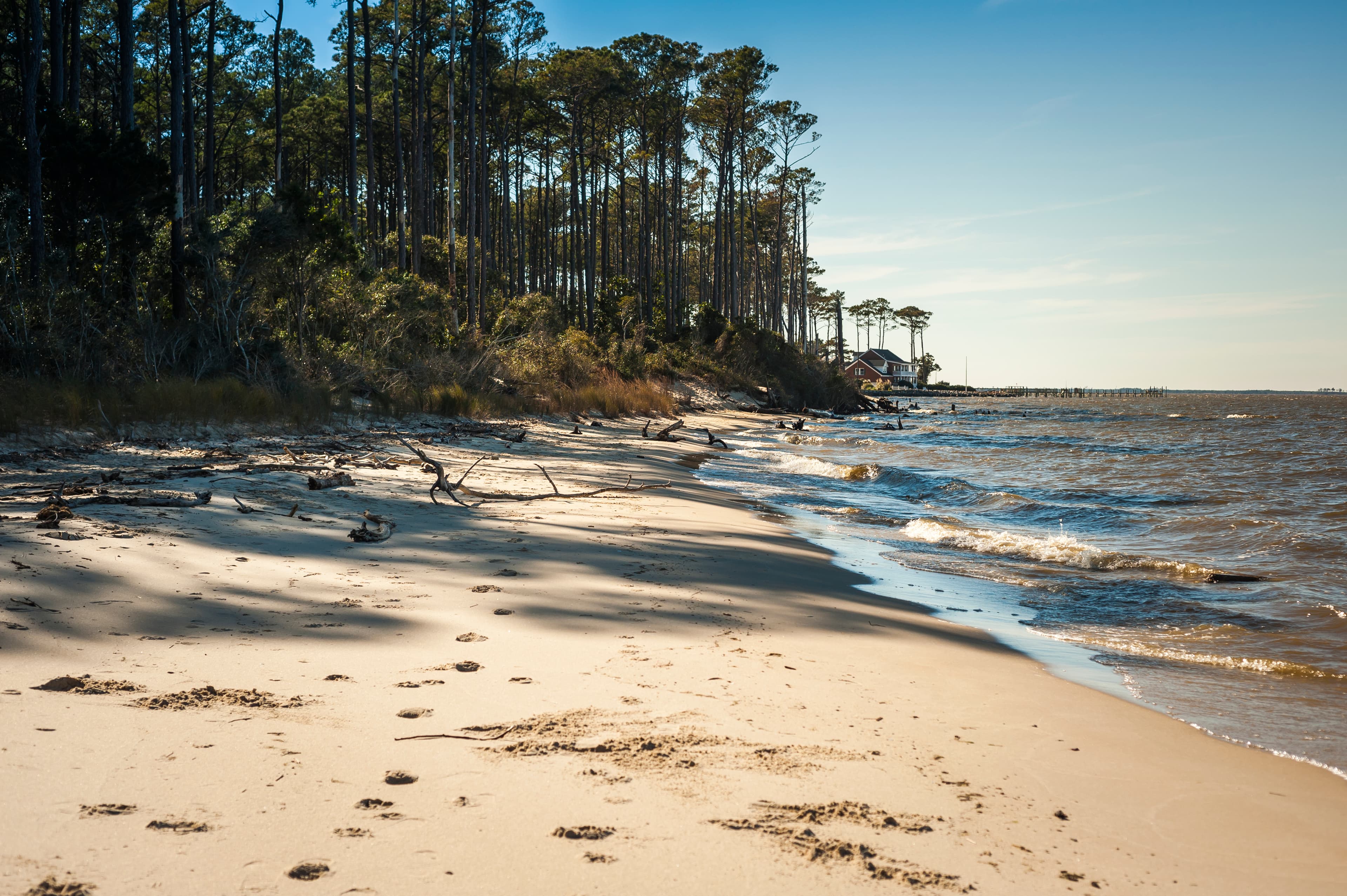 Etheridge Point Beach
