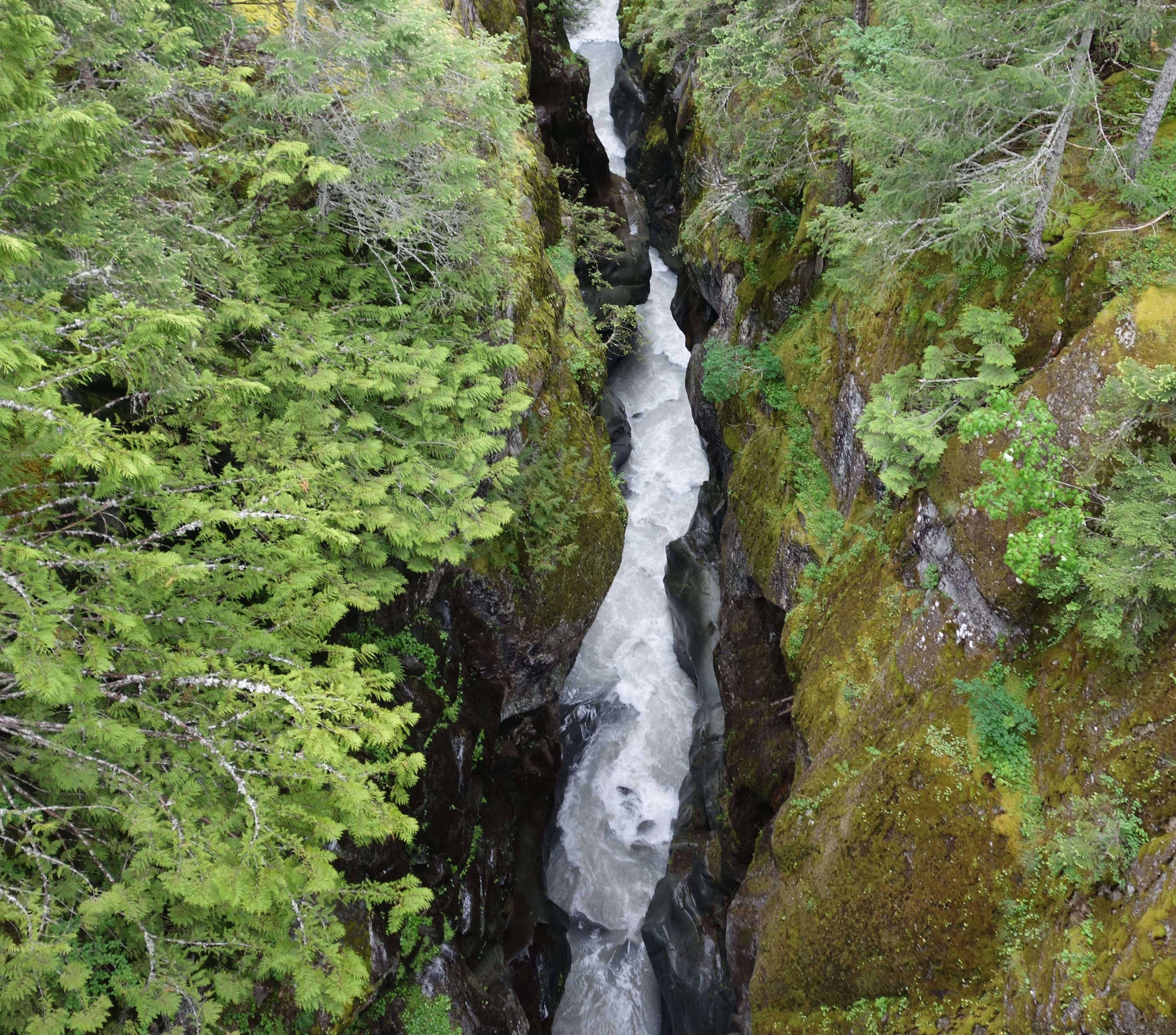 Box Canyon