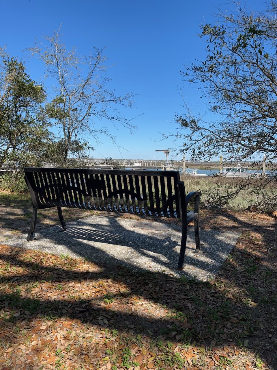 The Bench By the Road