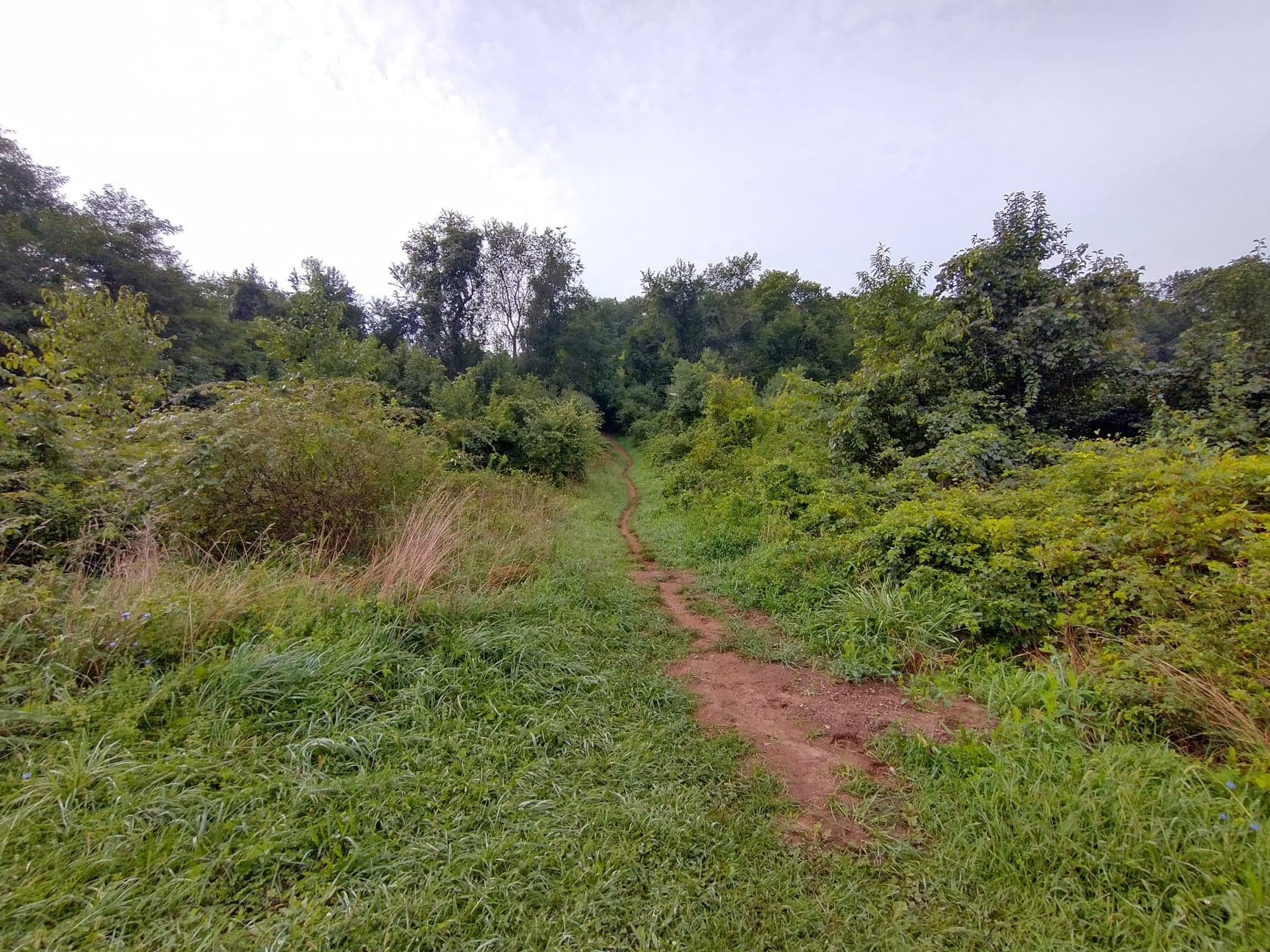 Parking Lot 1 Trailhead