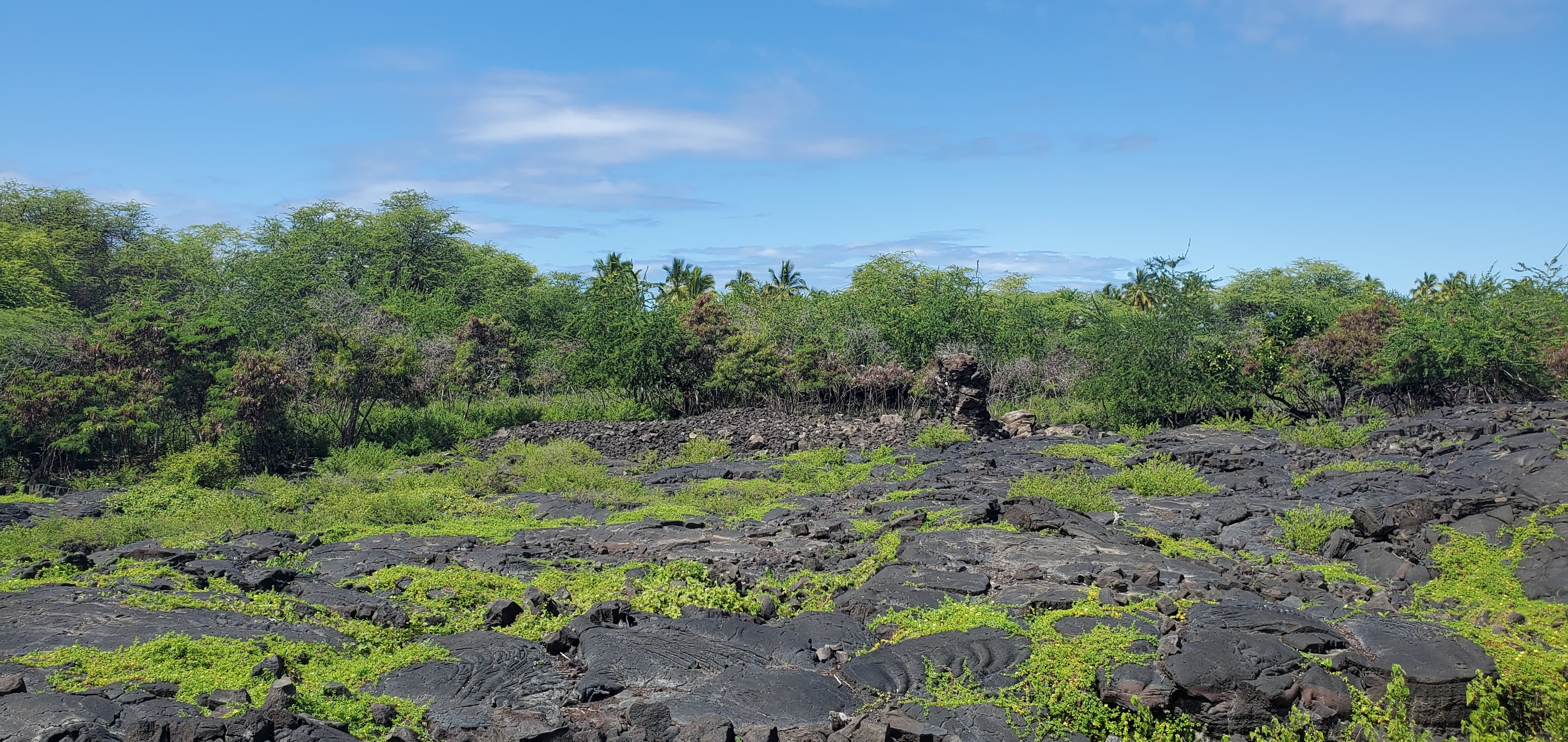 D - ʻŌmaʻo Heiau