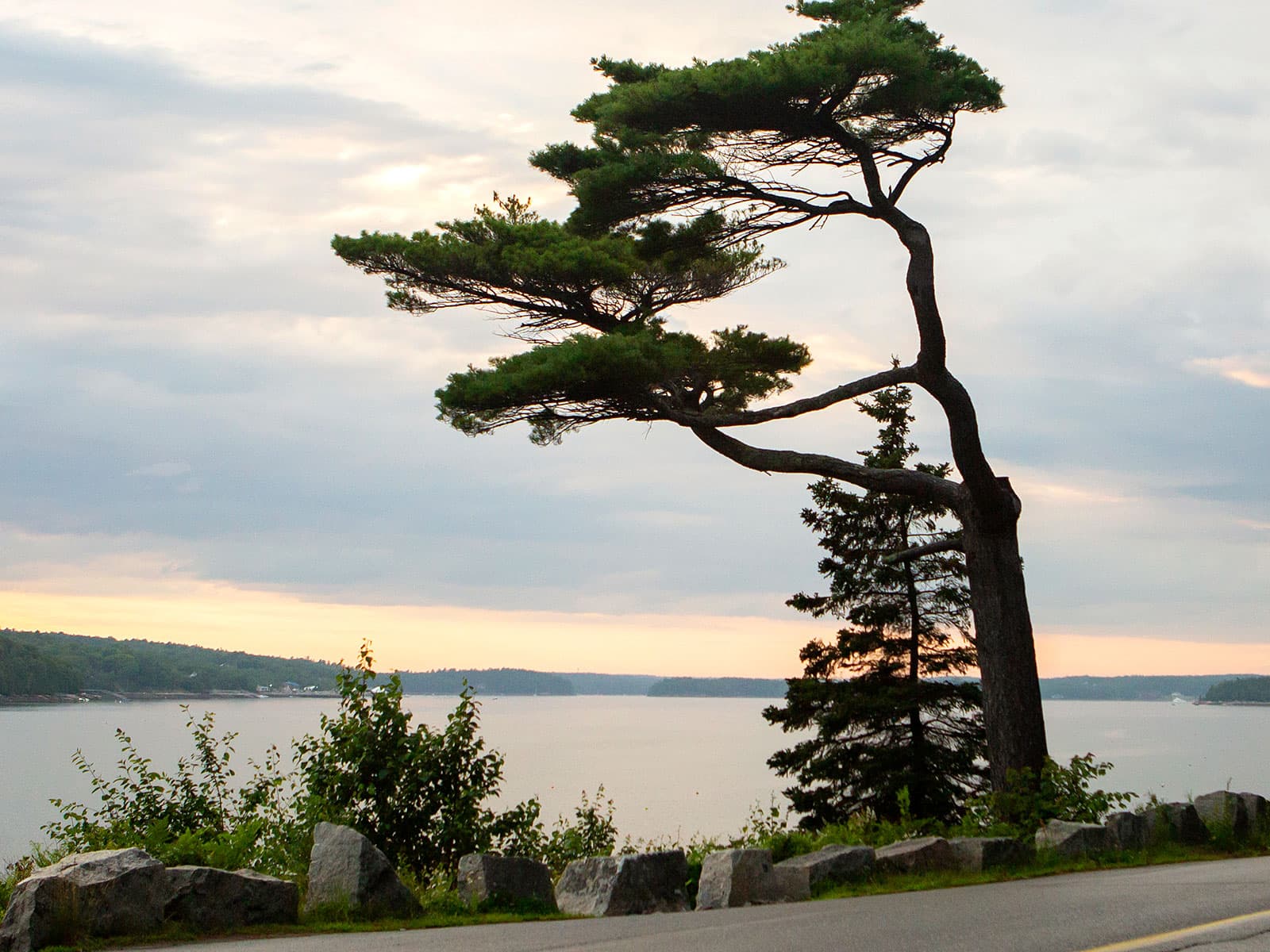 Acadia Earthcache Course: Stop One - Somes Sound