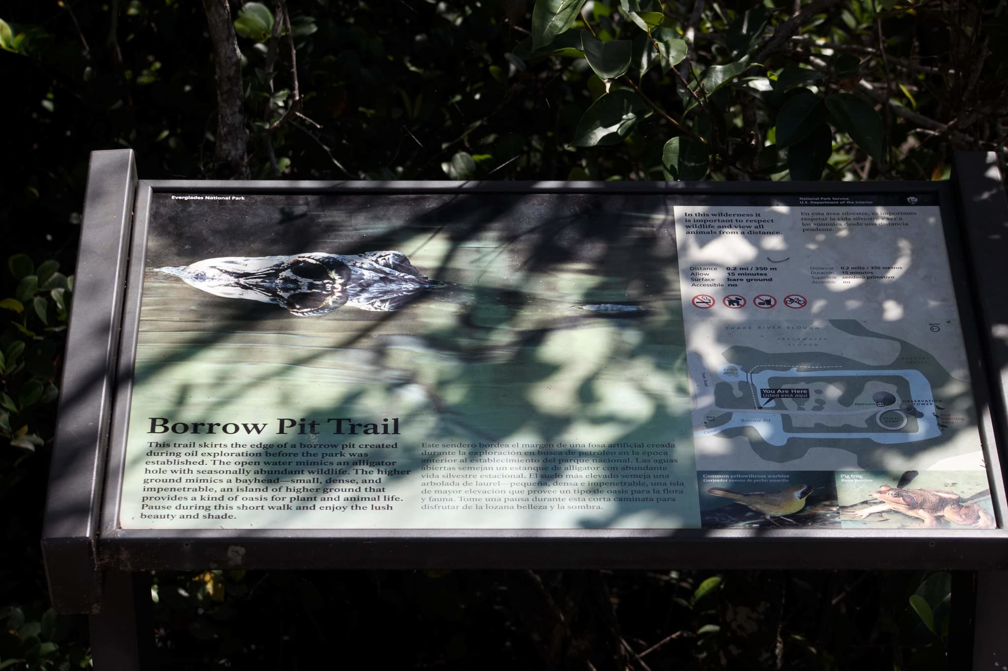 Borrow Pit Trail