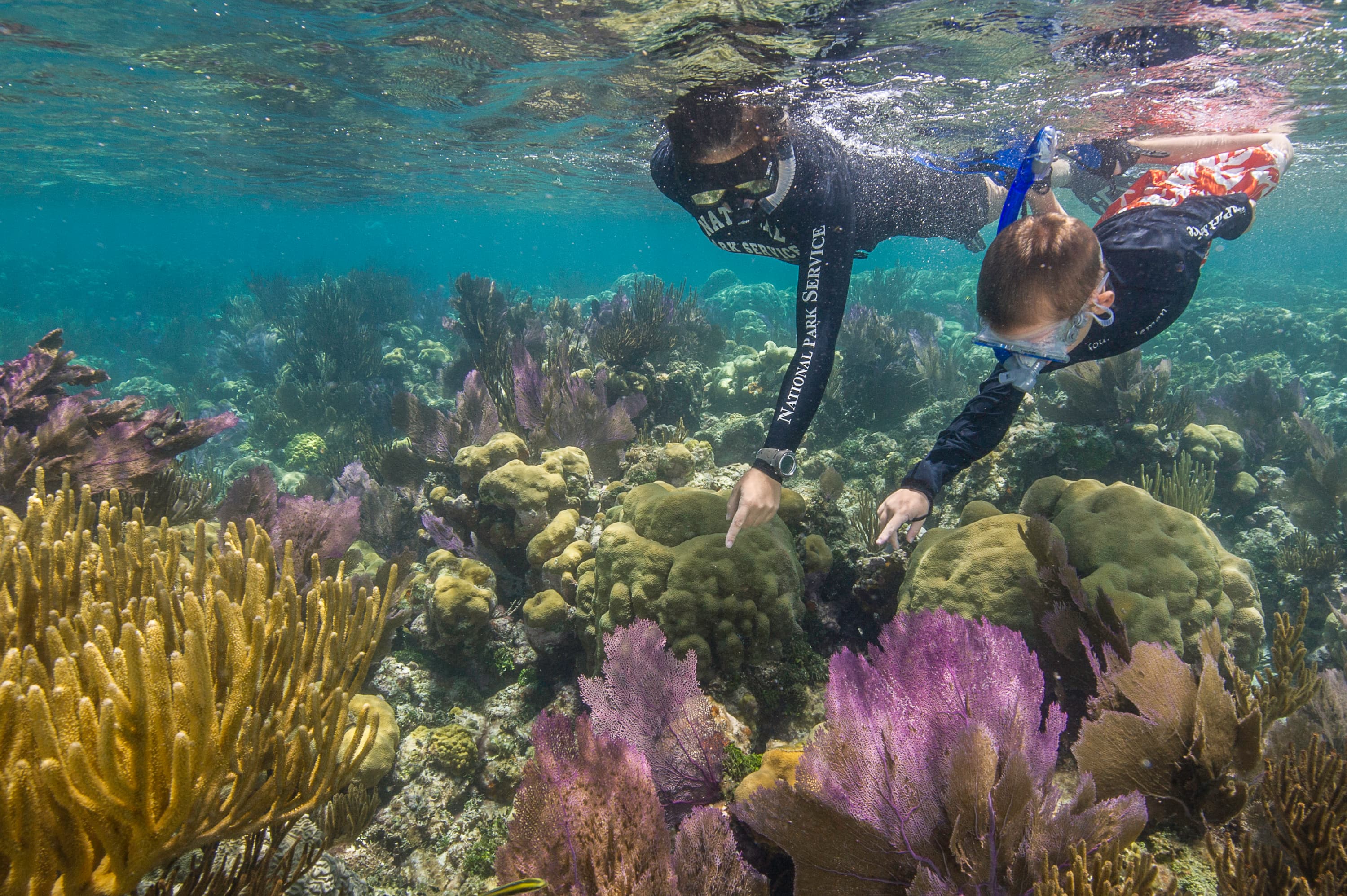 Little Africa Patch Reef