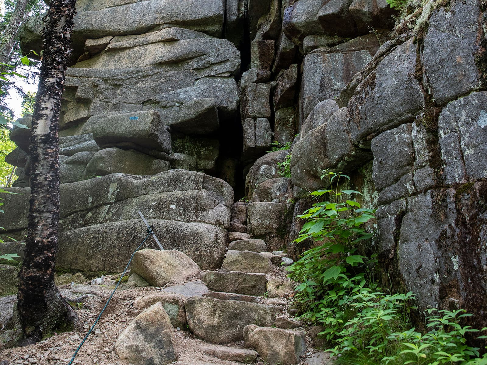 Acadia Earthcache Course Stop Four: Gorham Mountain Trail