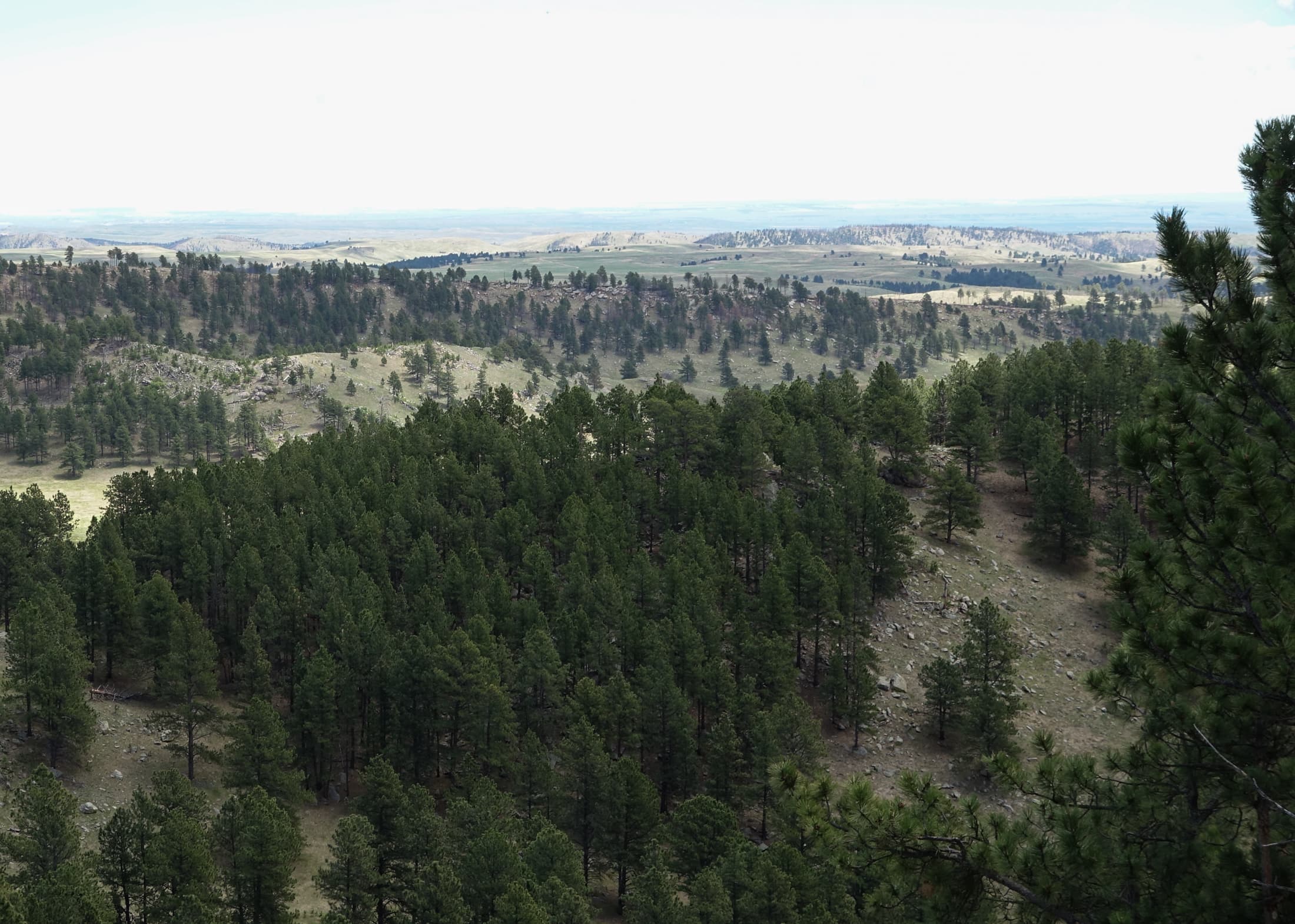 Post #11 The Great Prairie
