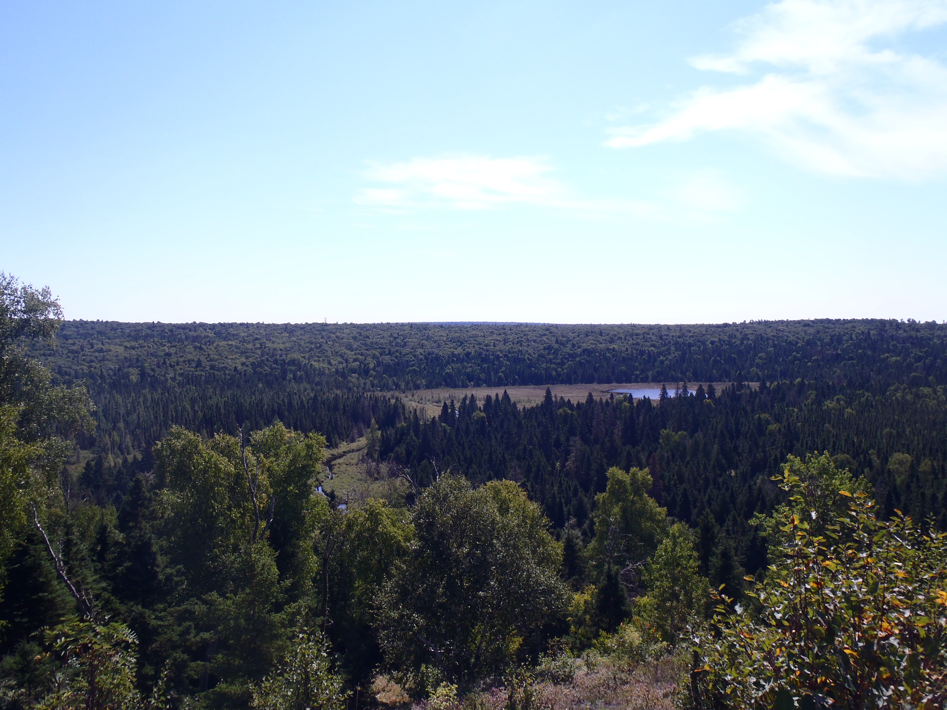Grace Creek Overlook