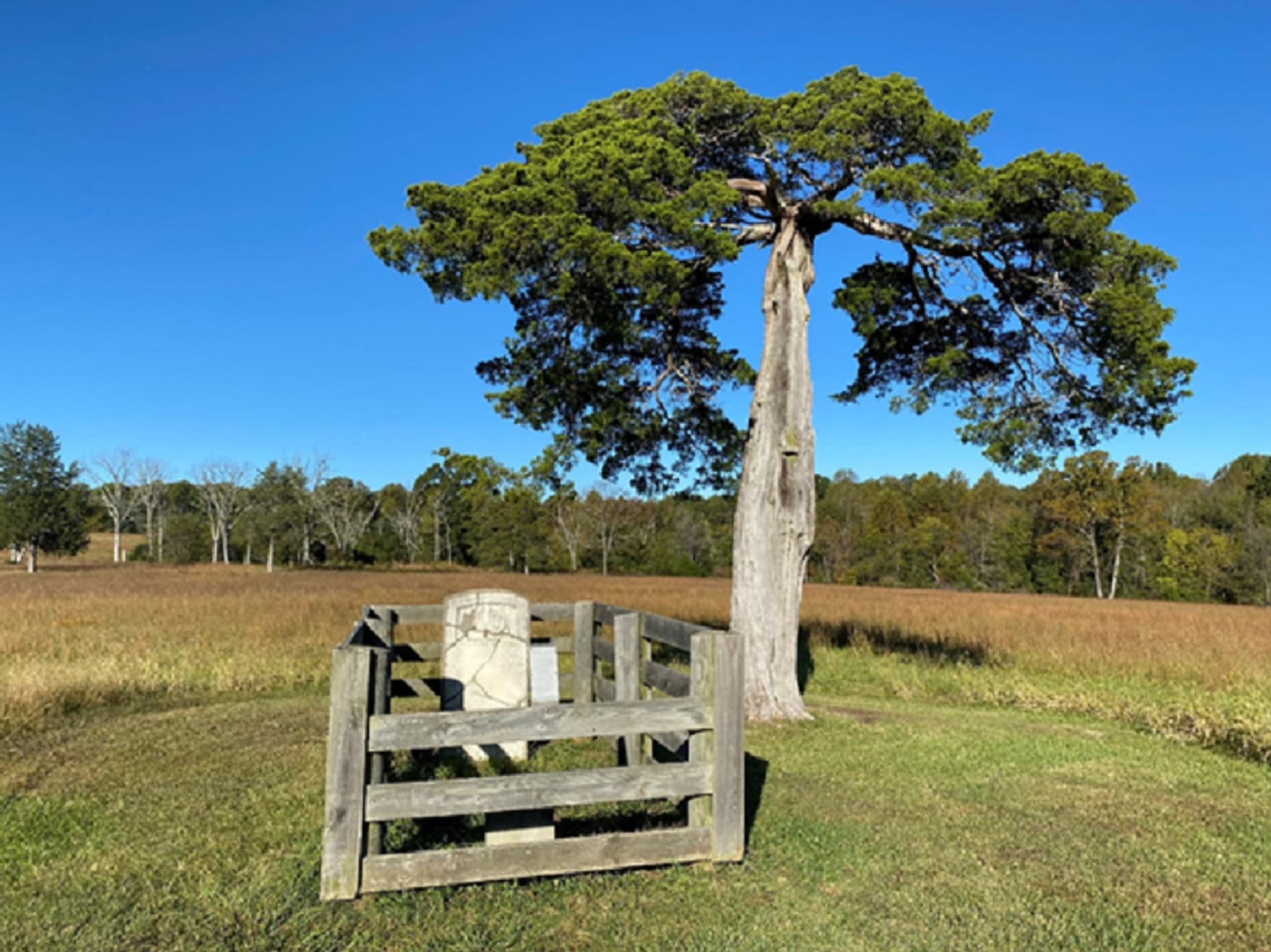 Lafayette Meeks’ Grave