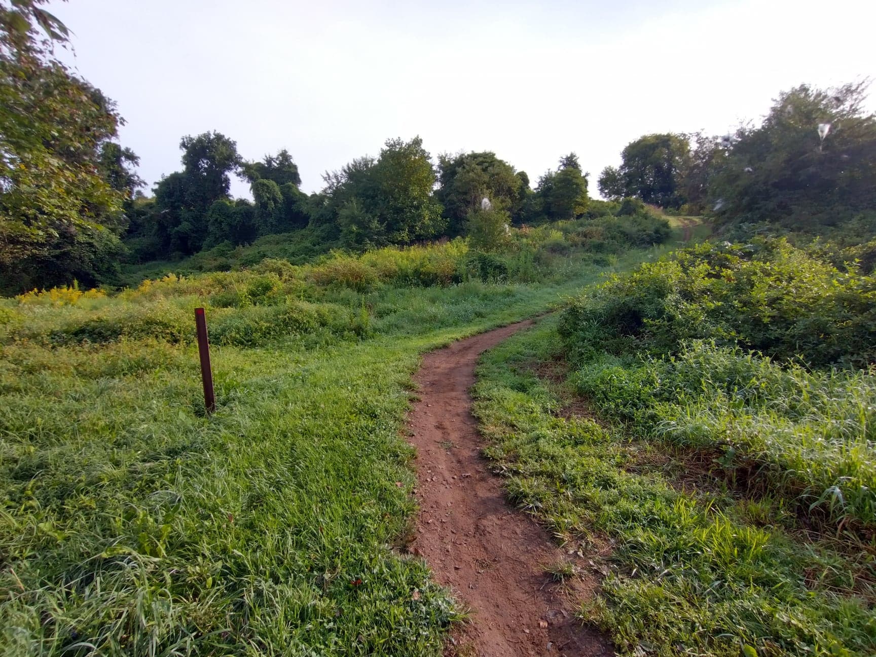 Parking Lot 4 Trailhead
