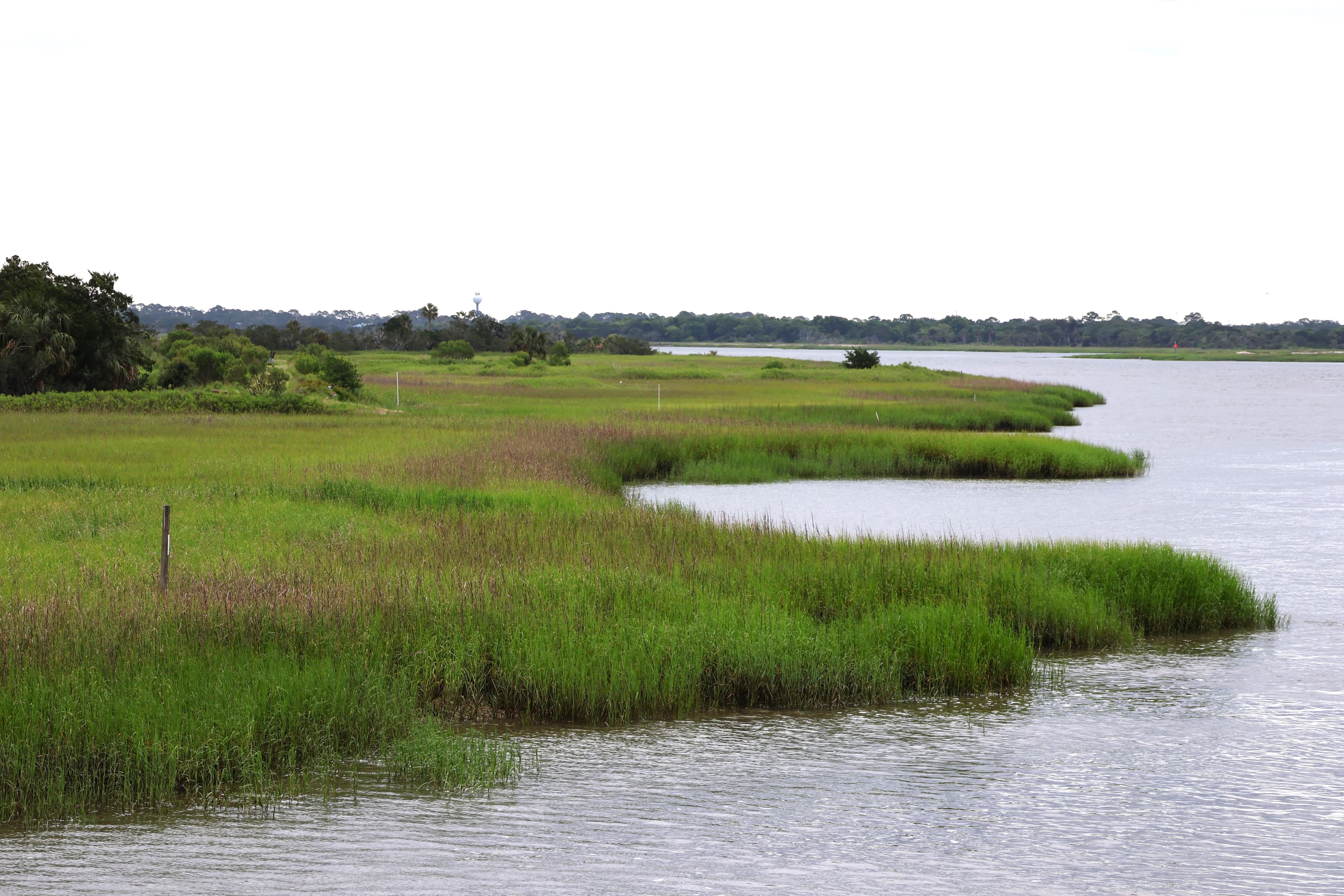 South Channel and the Marsh