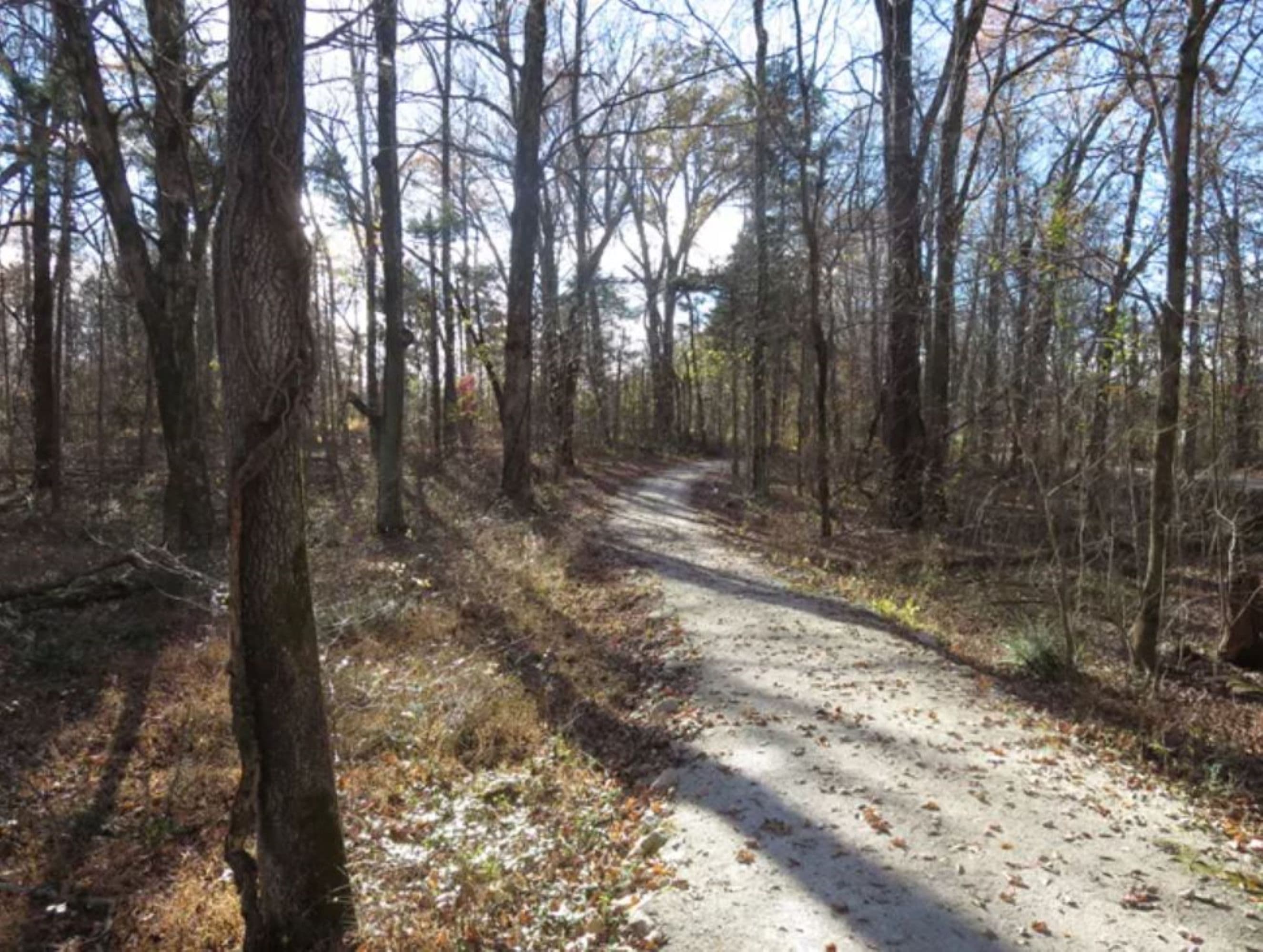 Big Sink Trail