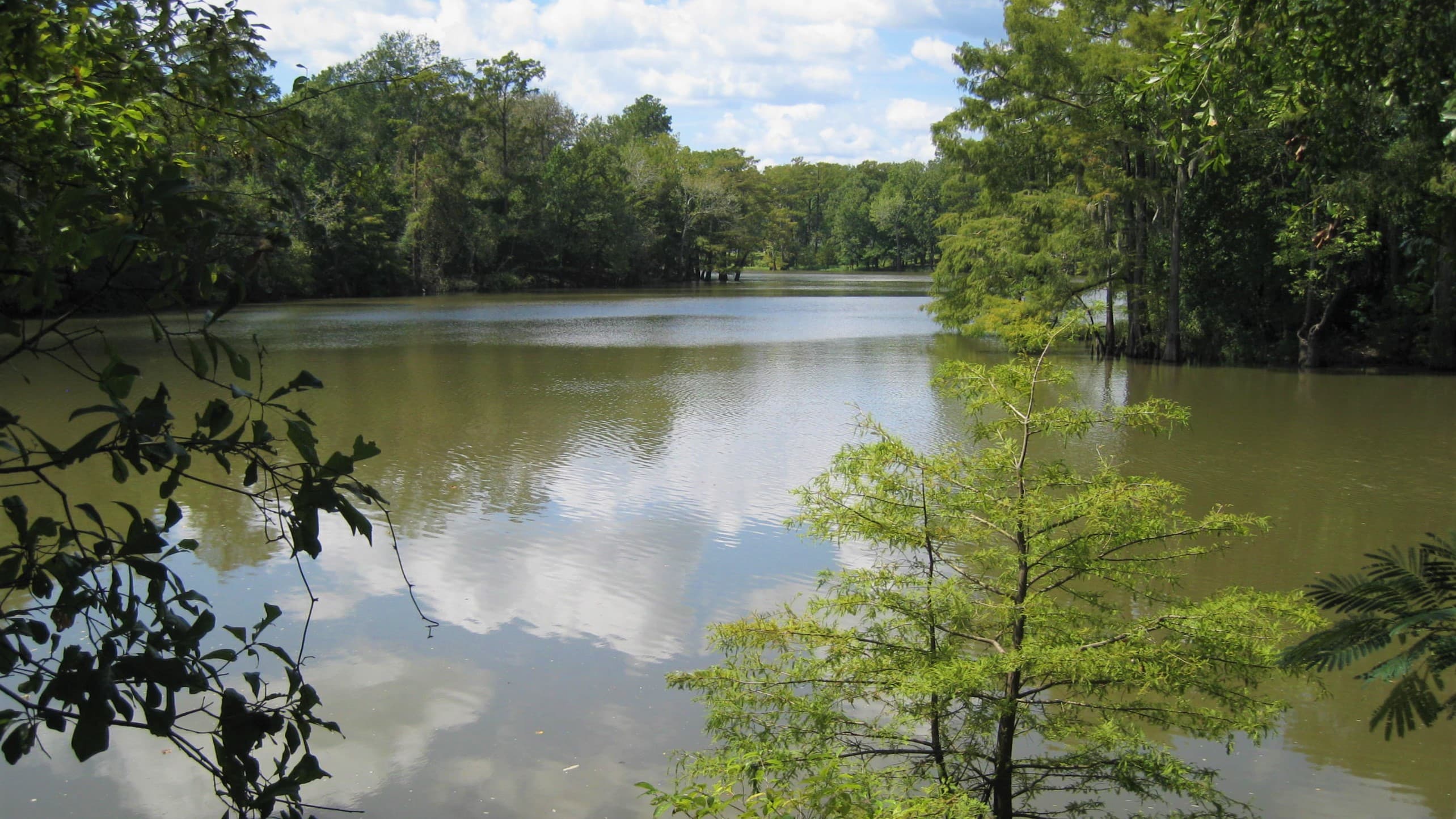 Cooks Lake Day-Use Area