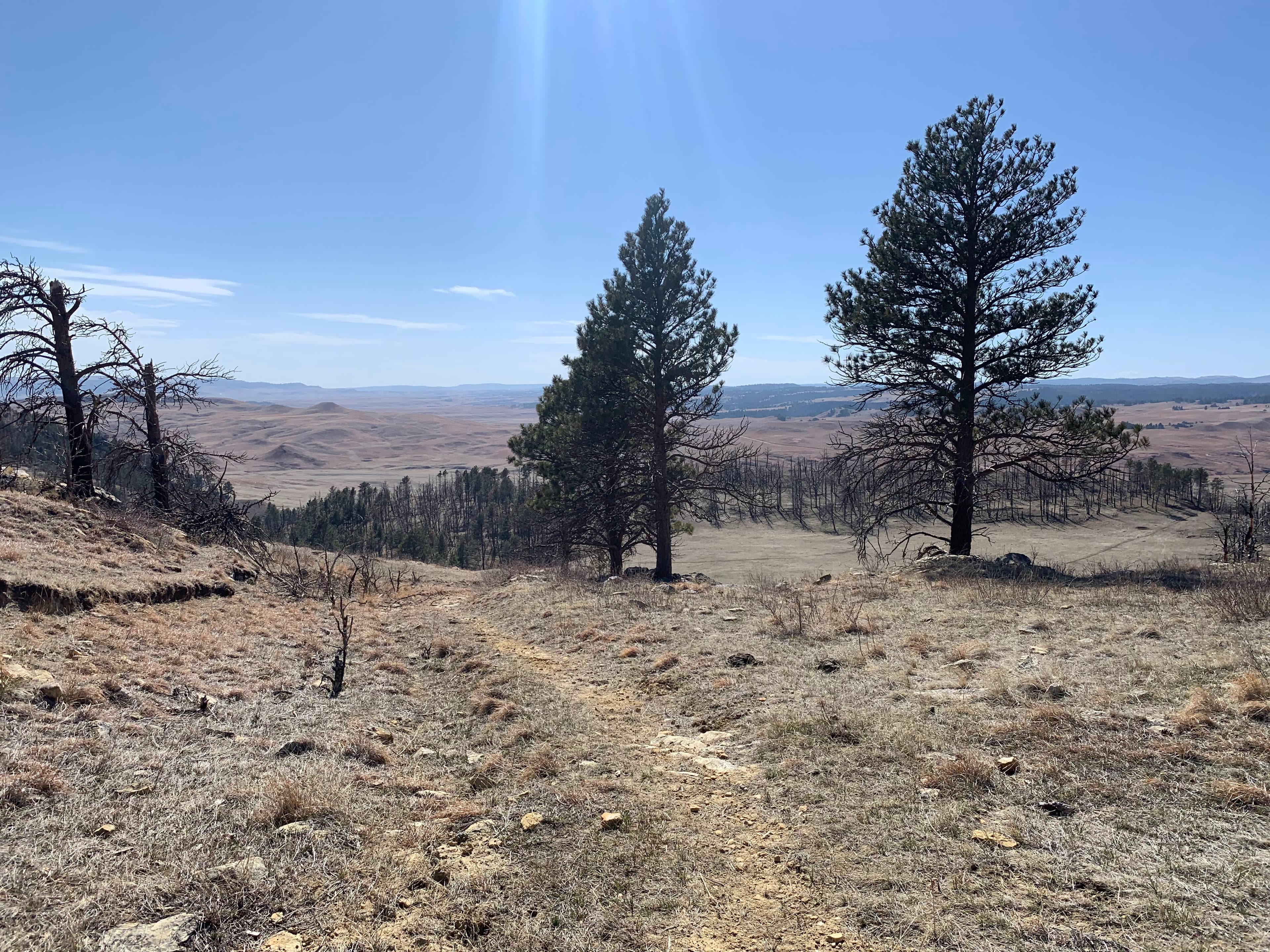 Boland Ridge Trail