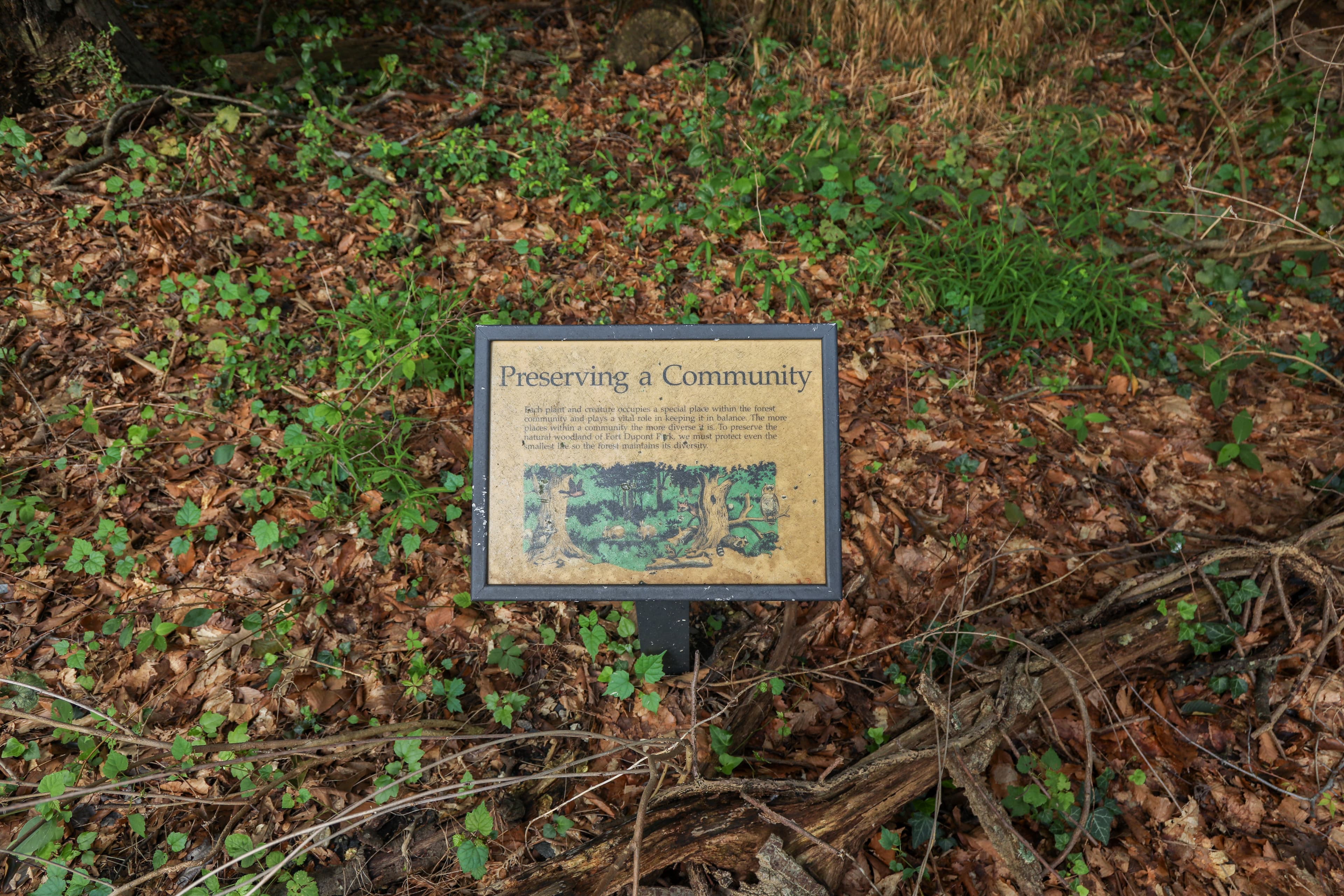 Information Panel: Preserving A Community