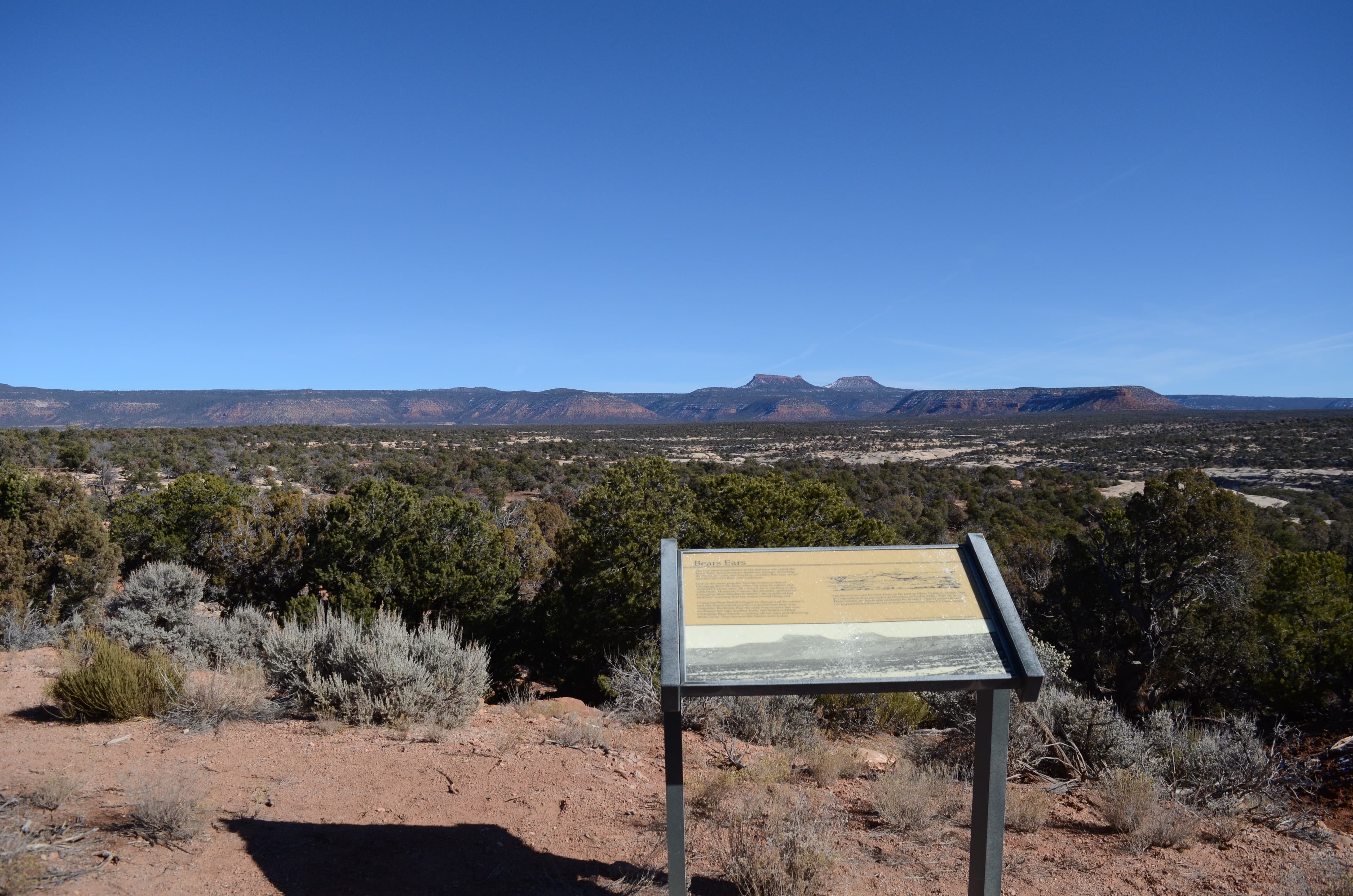 View of Bears Ears Buttes